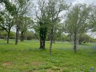 3. Lot 75 &amp; 76 Pony Creek Dr