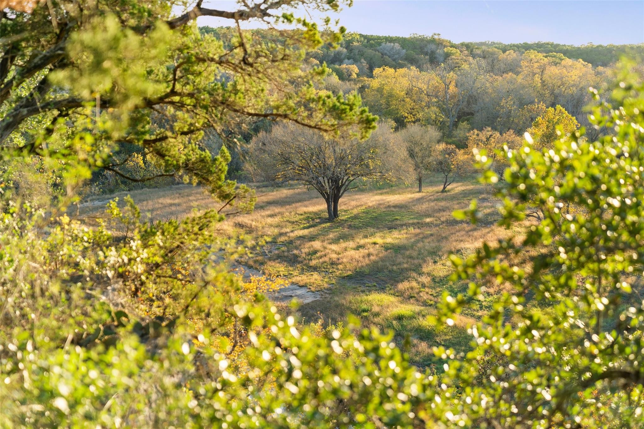 32. A 11961 Overlook Pass