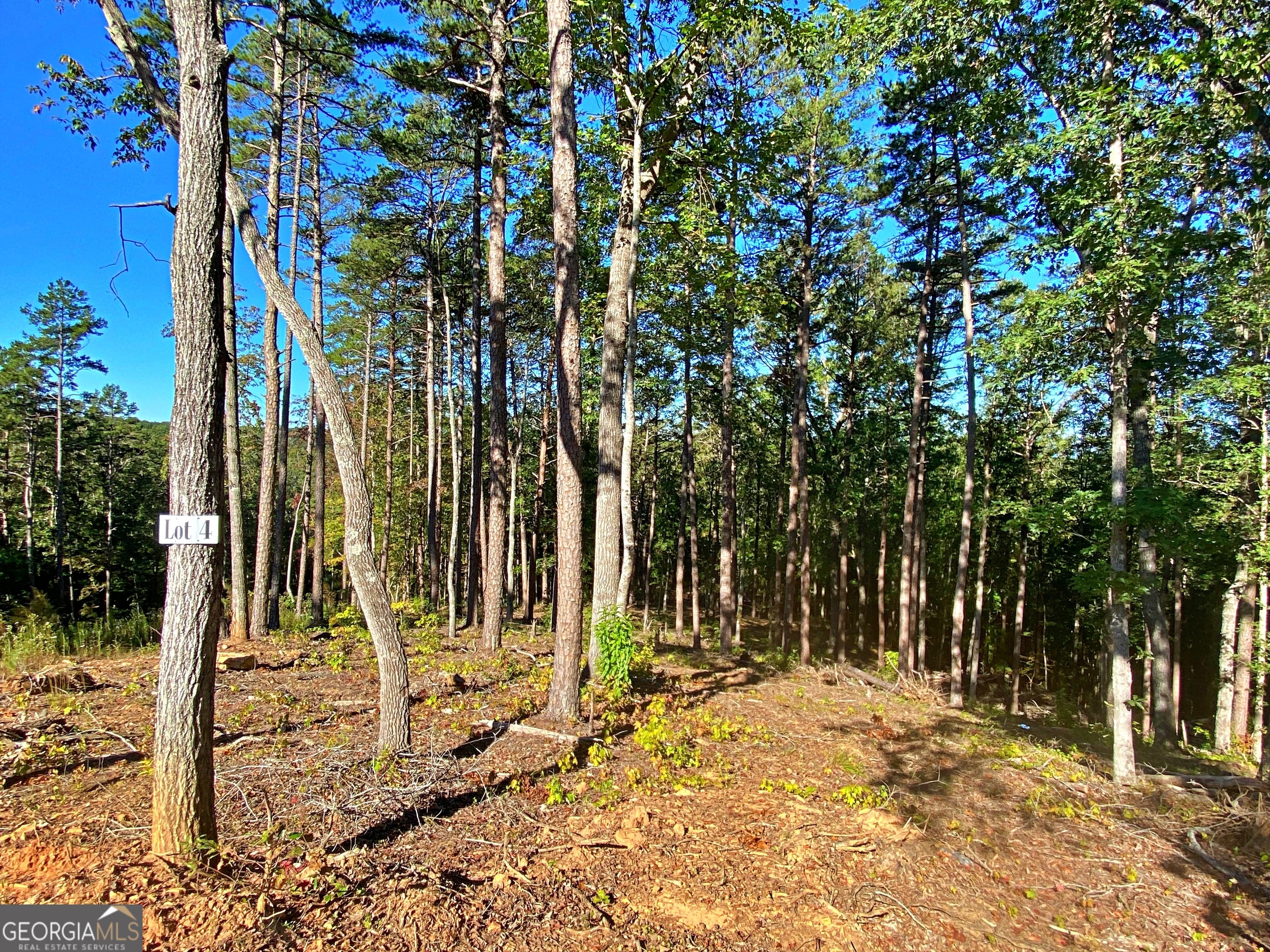 6. Lot 4 Etowah River Estates