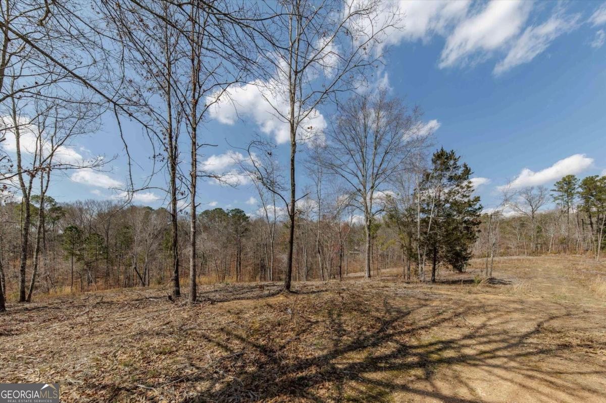 3. 2201 Long Rd Lot 3