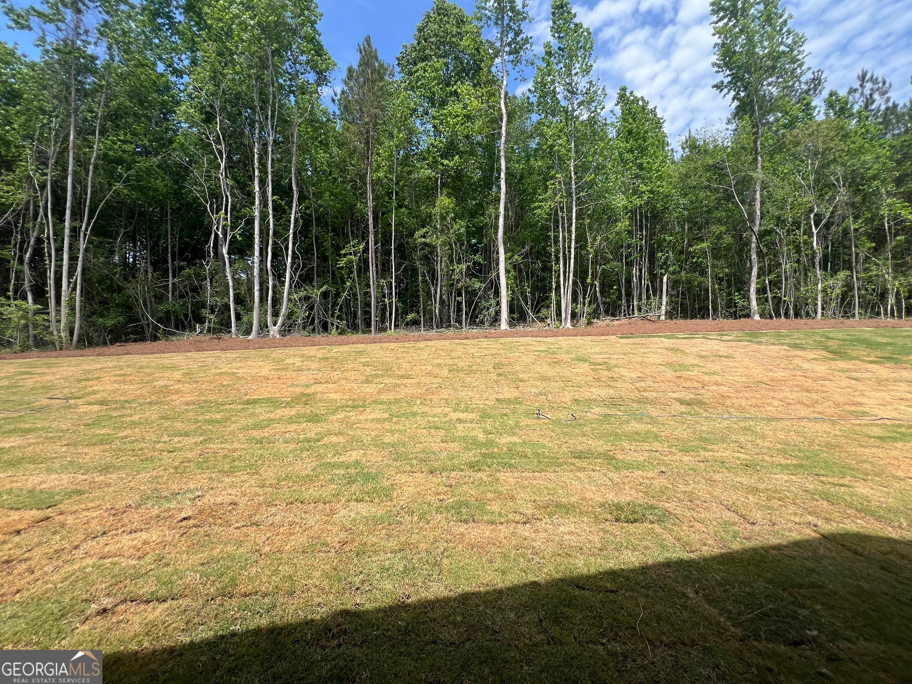 31. Lot 2 Piney Woods Dr