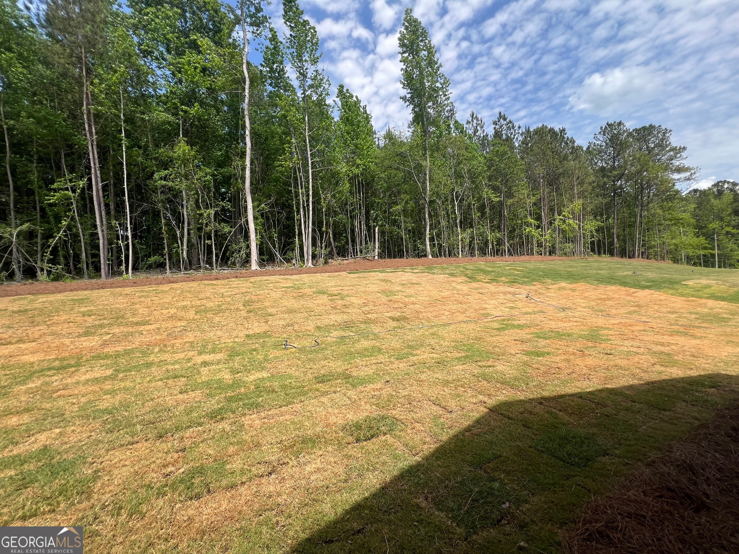 32. Lot 2 Piney Woods Dr