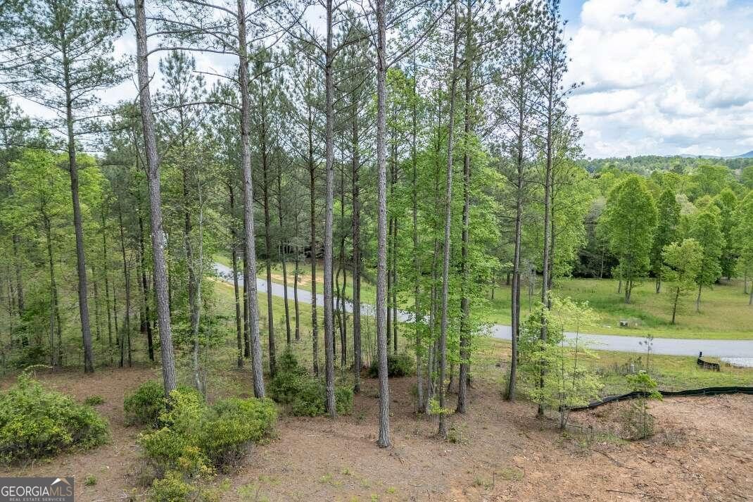 35. Lot 131 Sandy Lake Ln