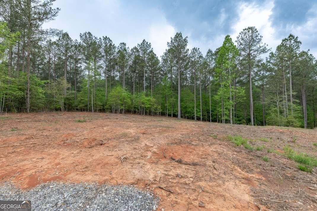 7. Lot 131 Sandy Lake Ln