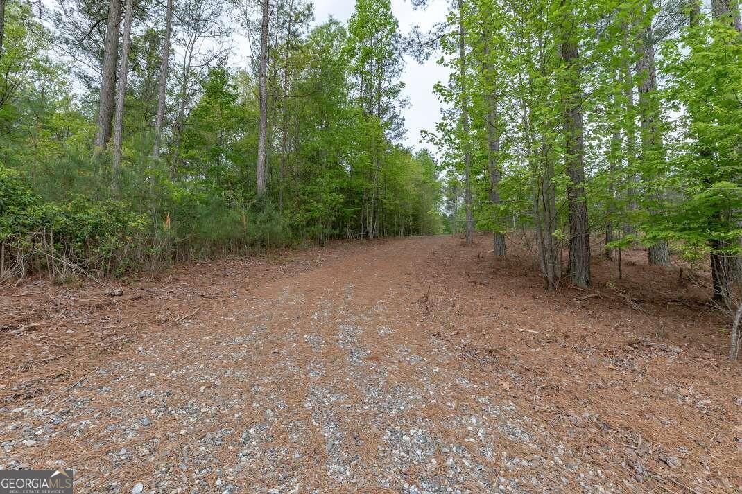 5. Lot 131 Sandy Lake Ln