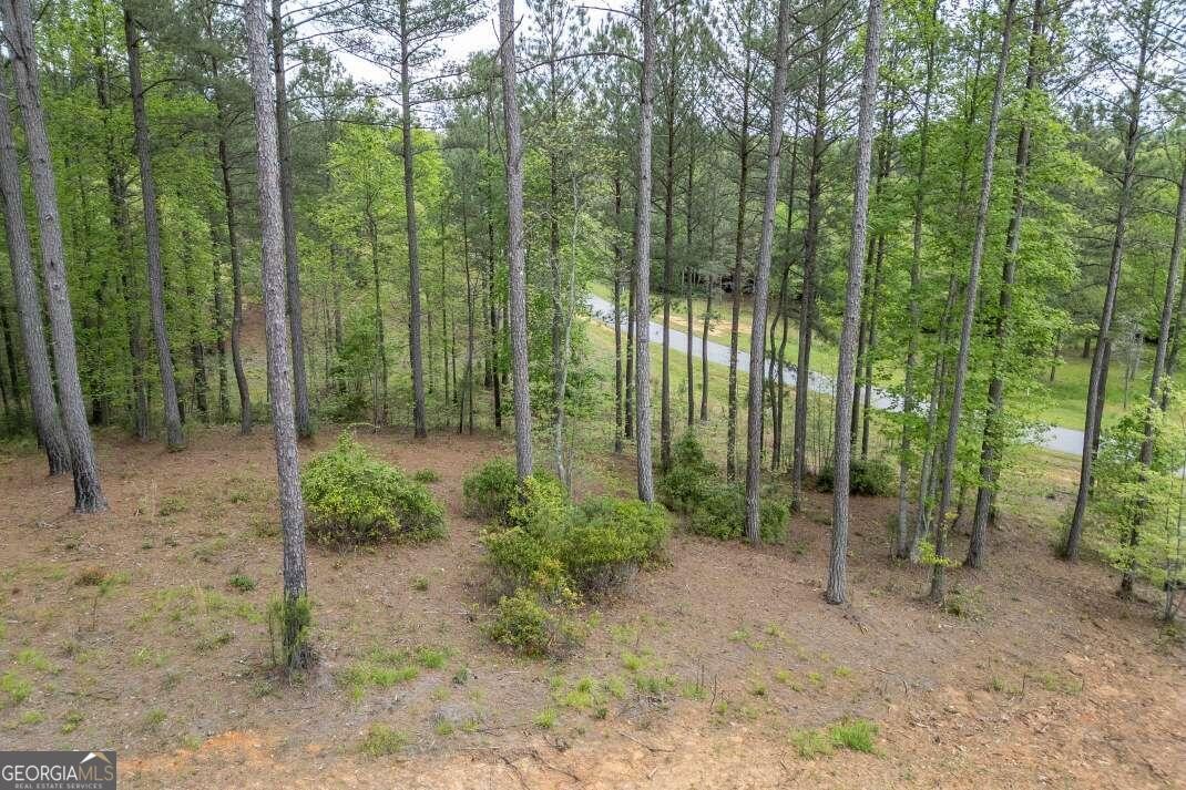 29. Lot 131 Sandy Lake Ln