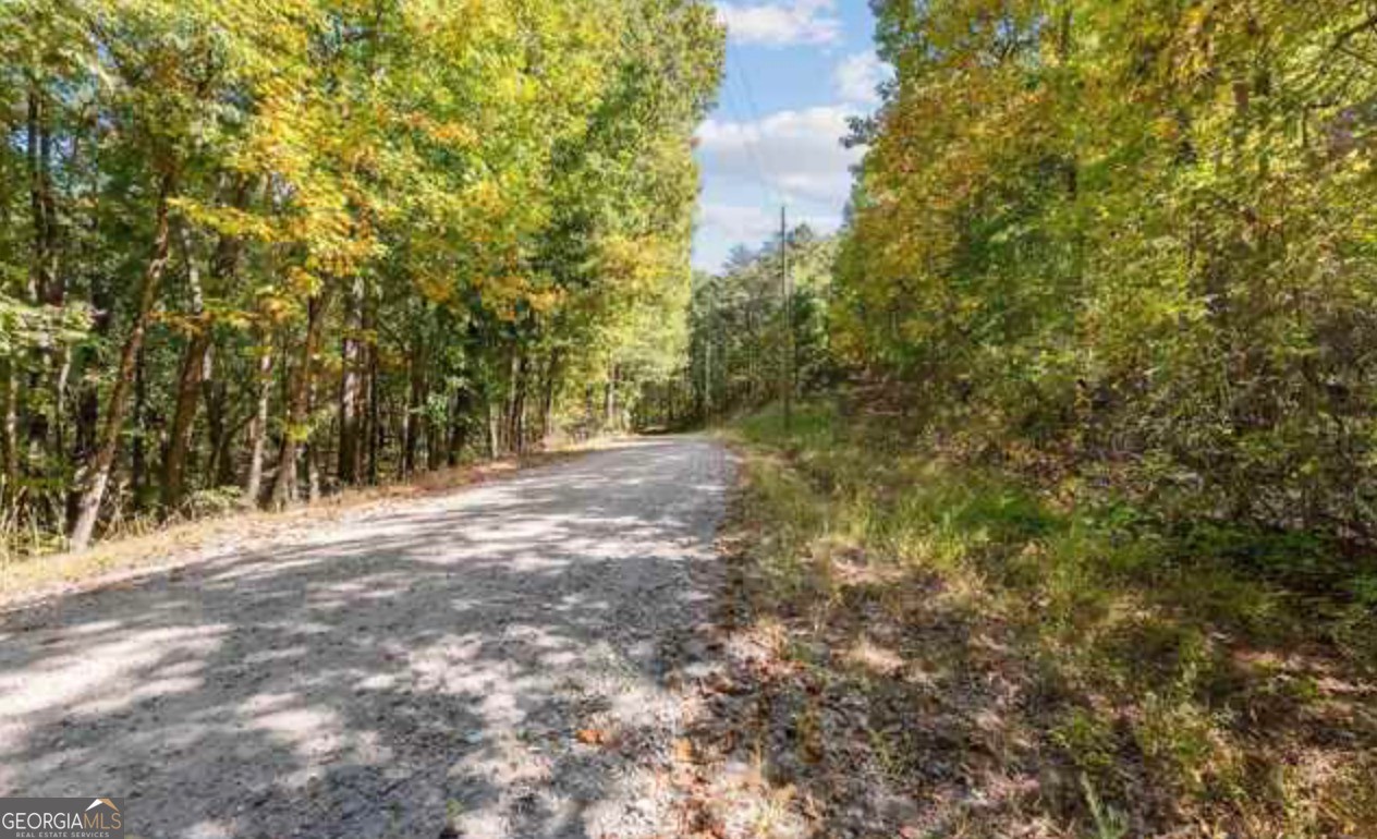 11. Lot 24 Luther Palmer Rd
