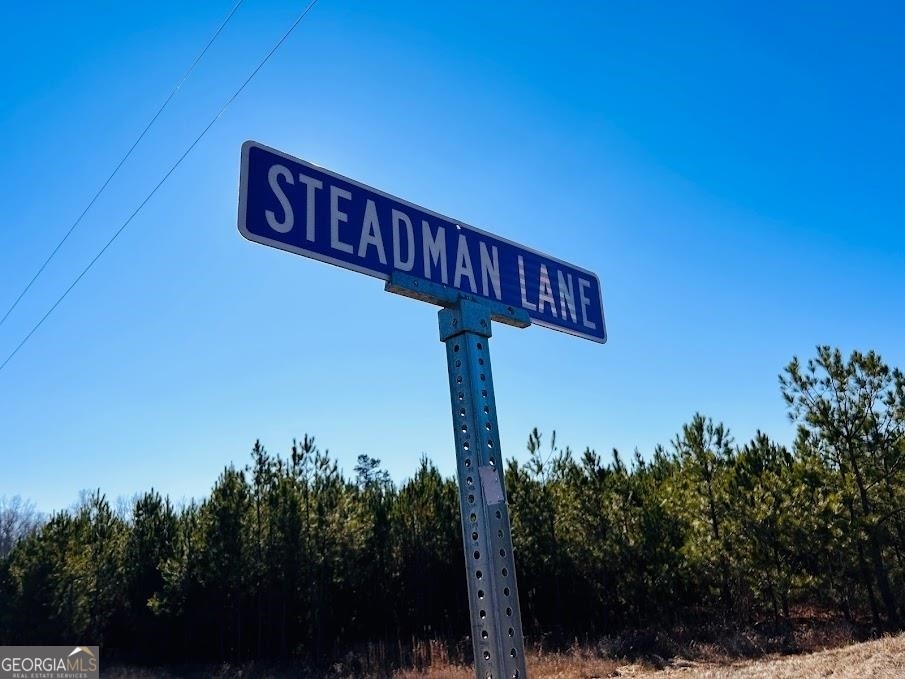 3. 0 Steadman Lane