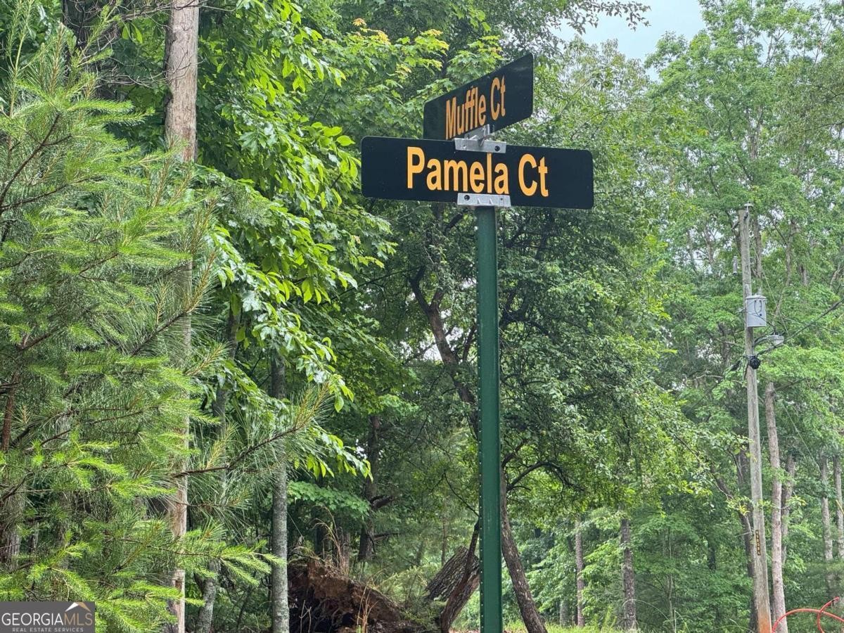 15. 0 Pamela Ct