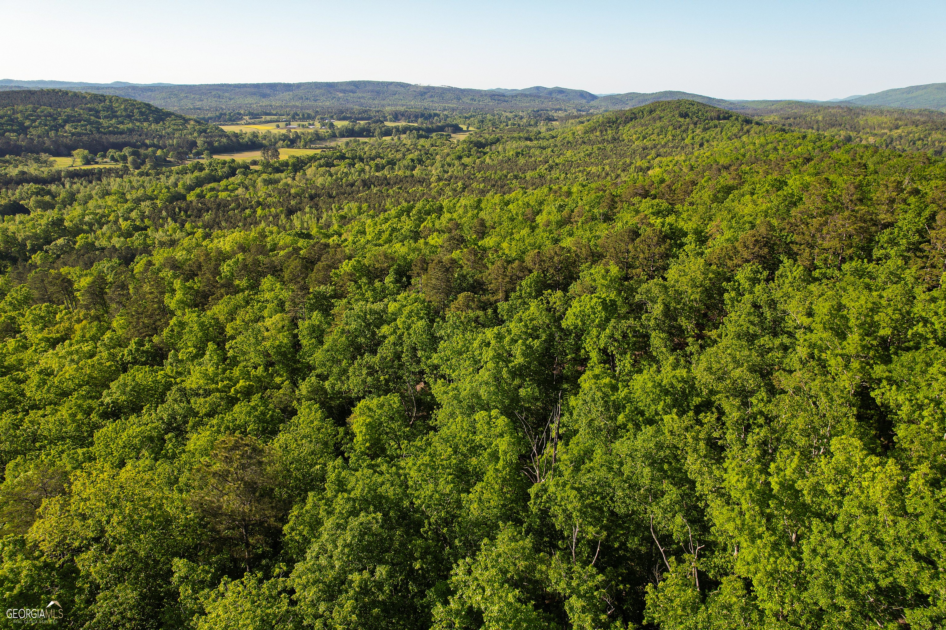 46. On Haywood Valley Road