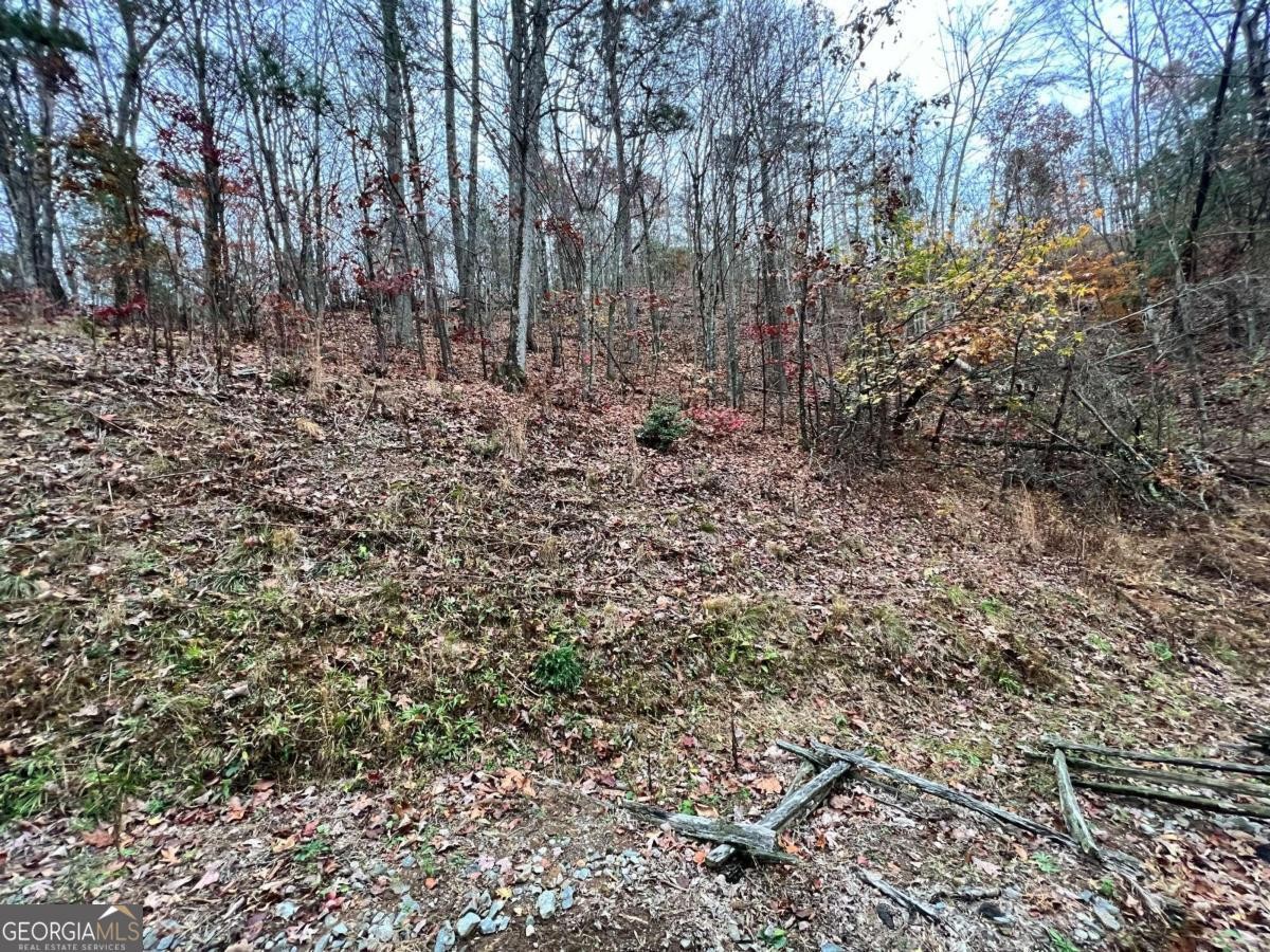 1. Lot 449 Mountain Tops Rd