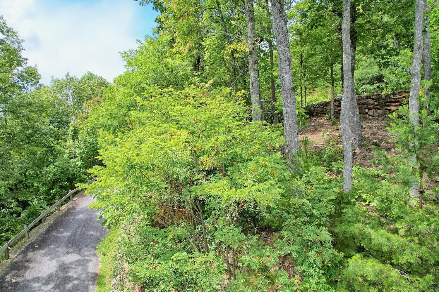 1. 0 Lot 32) Winding View Trail