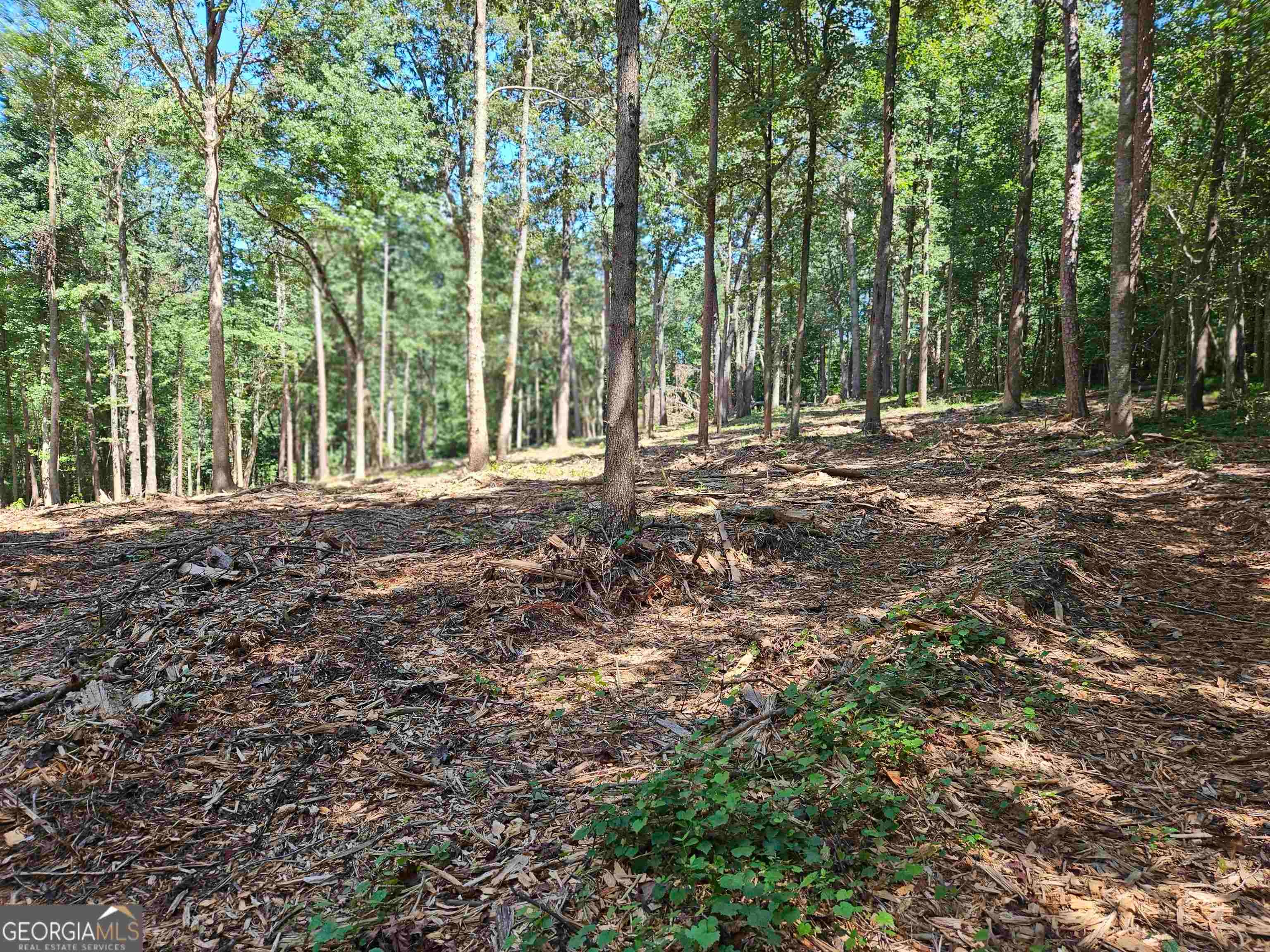 4. 00 Whitetail Ridge Tract 2