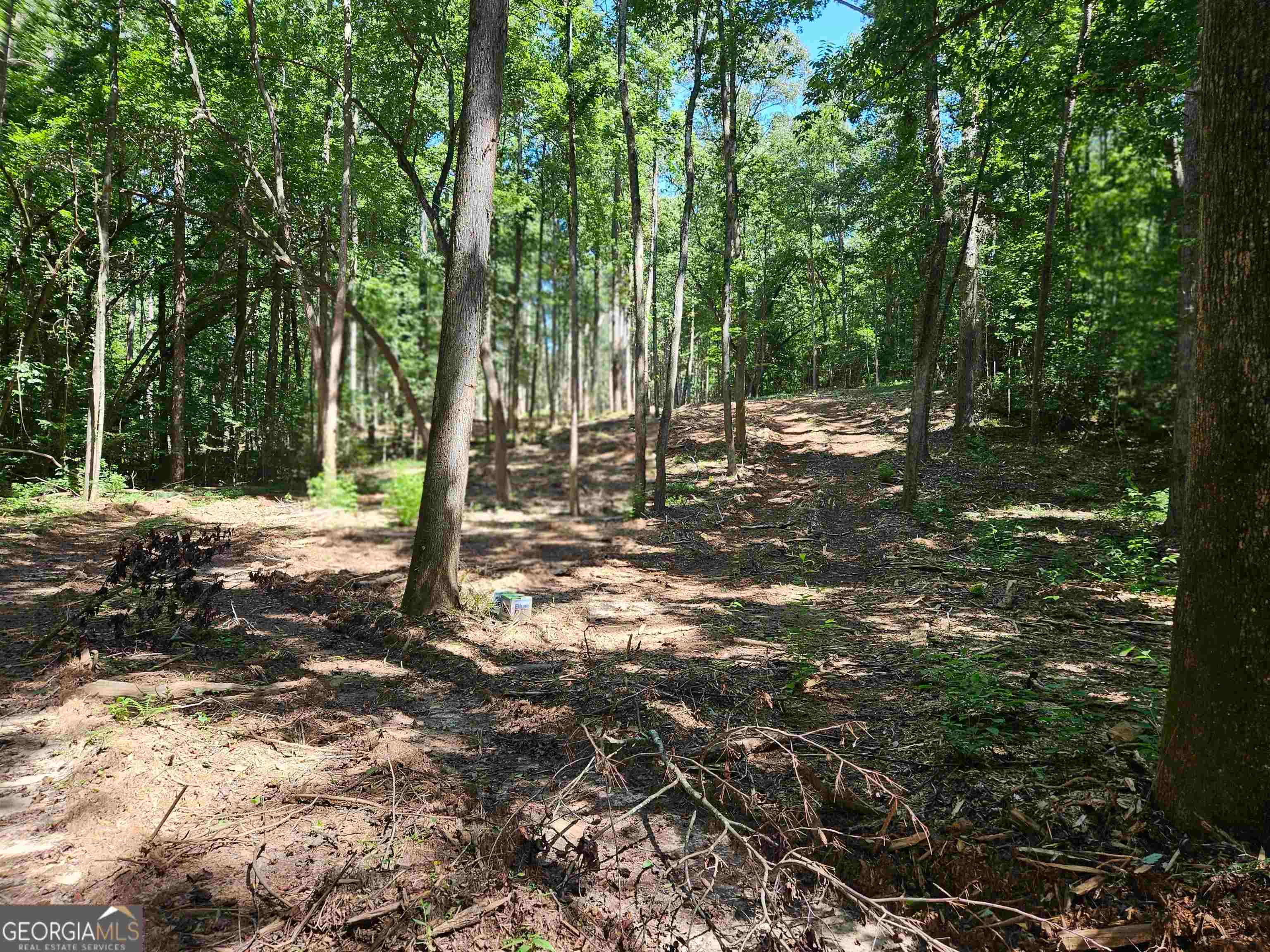 8. 00 Whitetail Ridge Tract 2