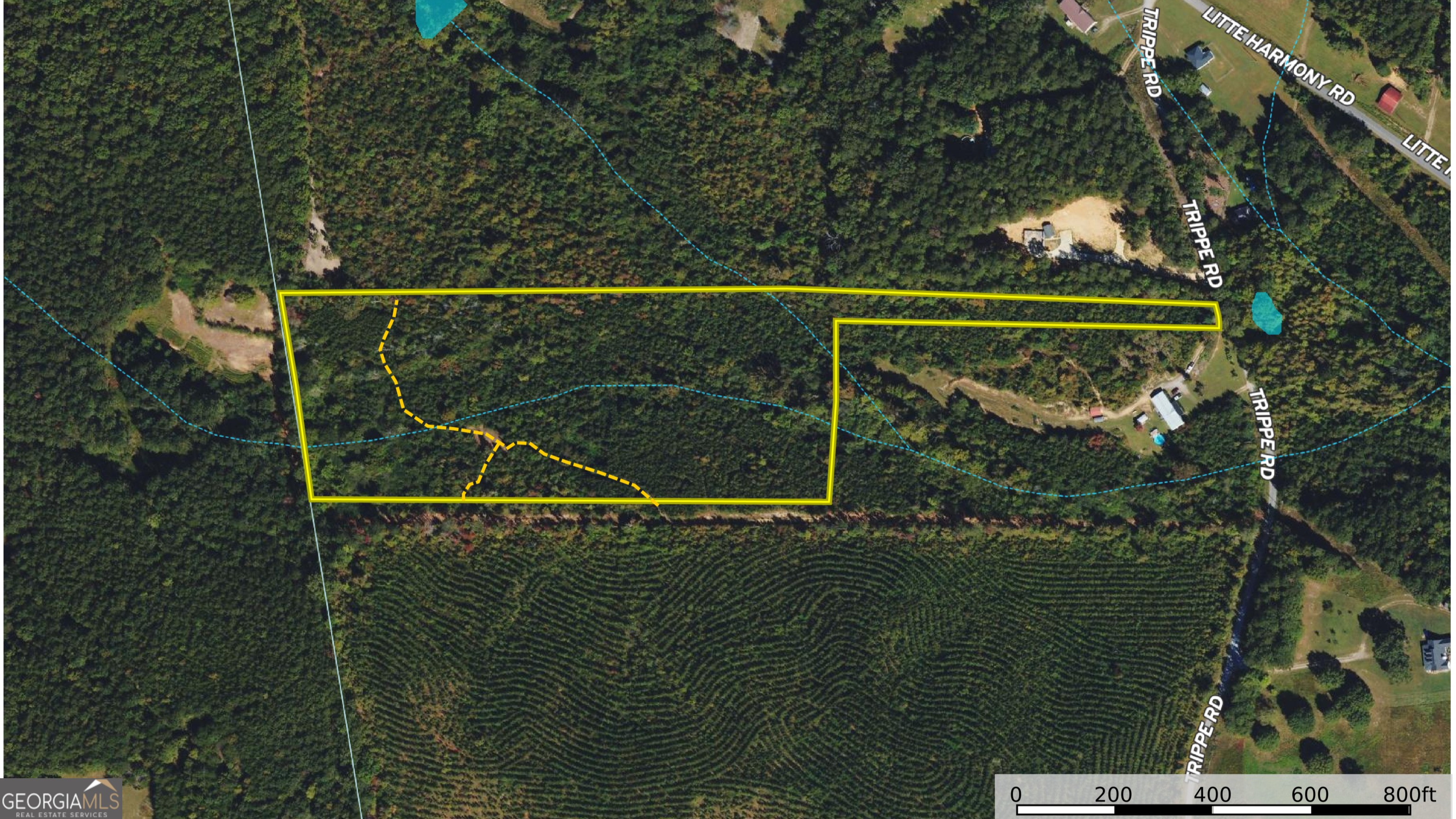 23. 10.56 Acres On Trippe Road