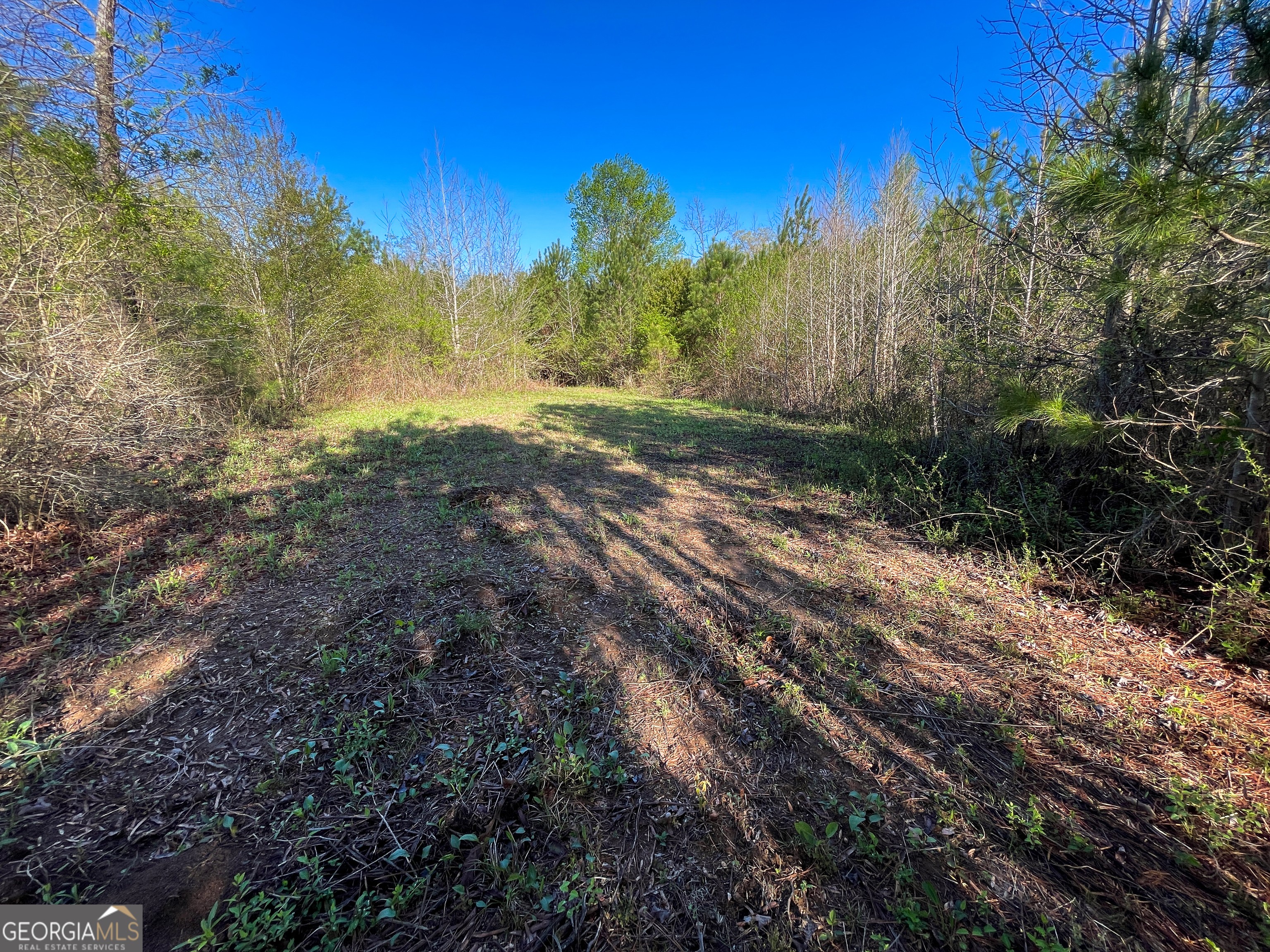 20. 10.56 Acres On Trippe Road