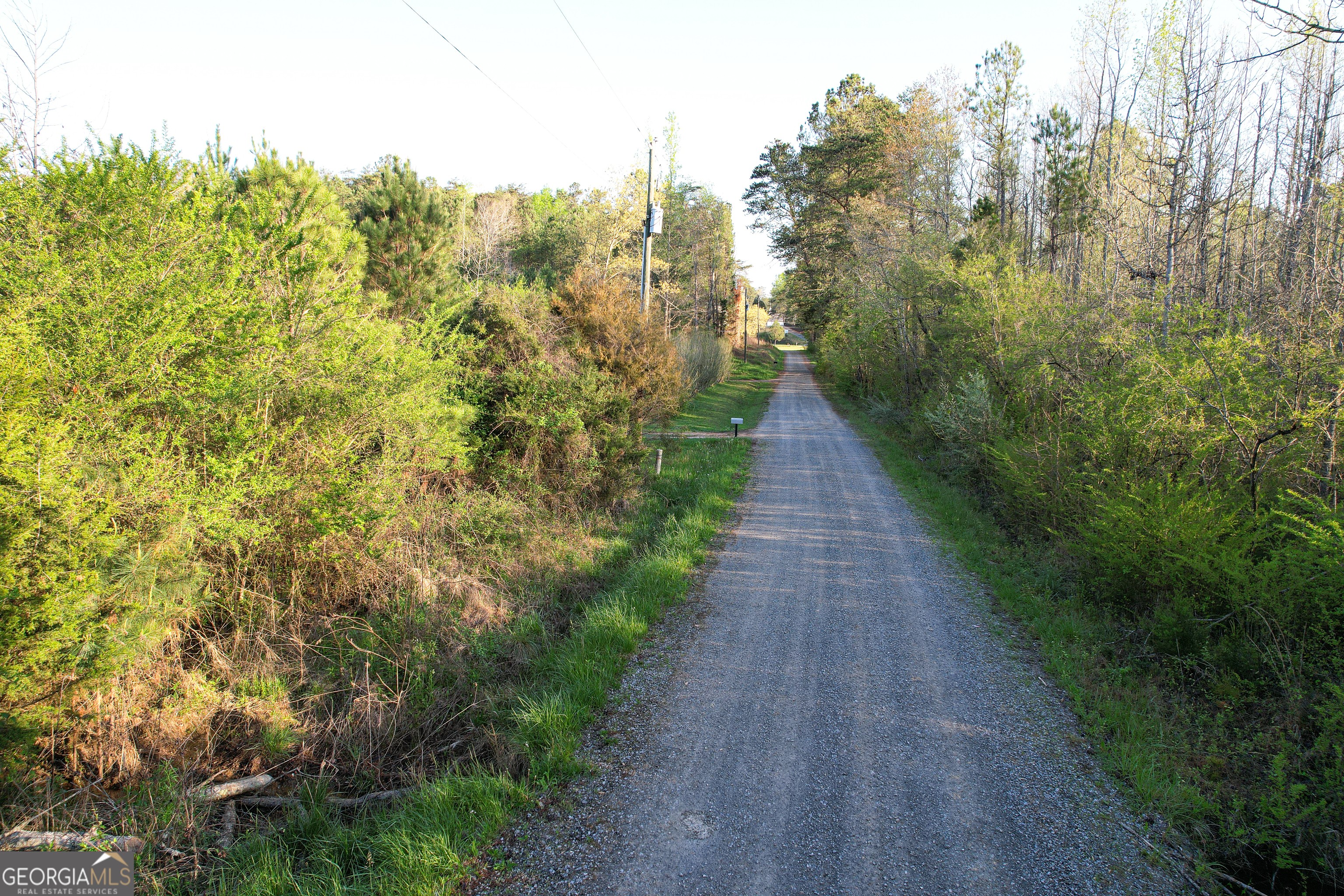14. 10.56 Acres On Trippe Road