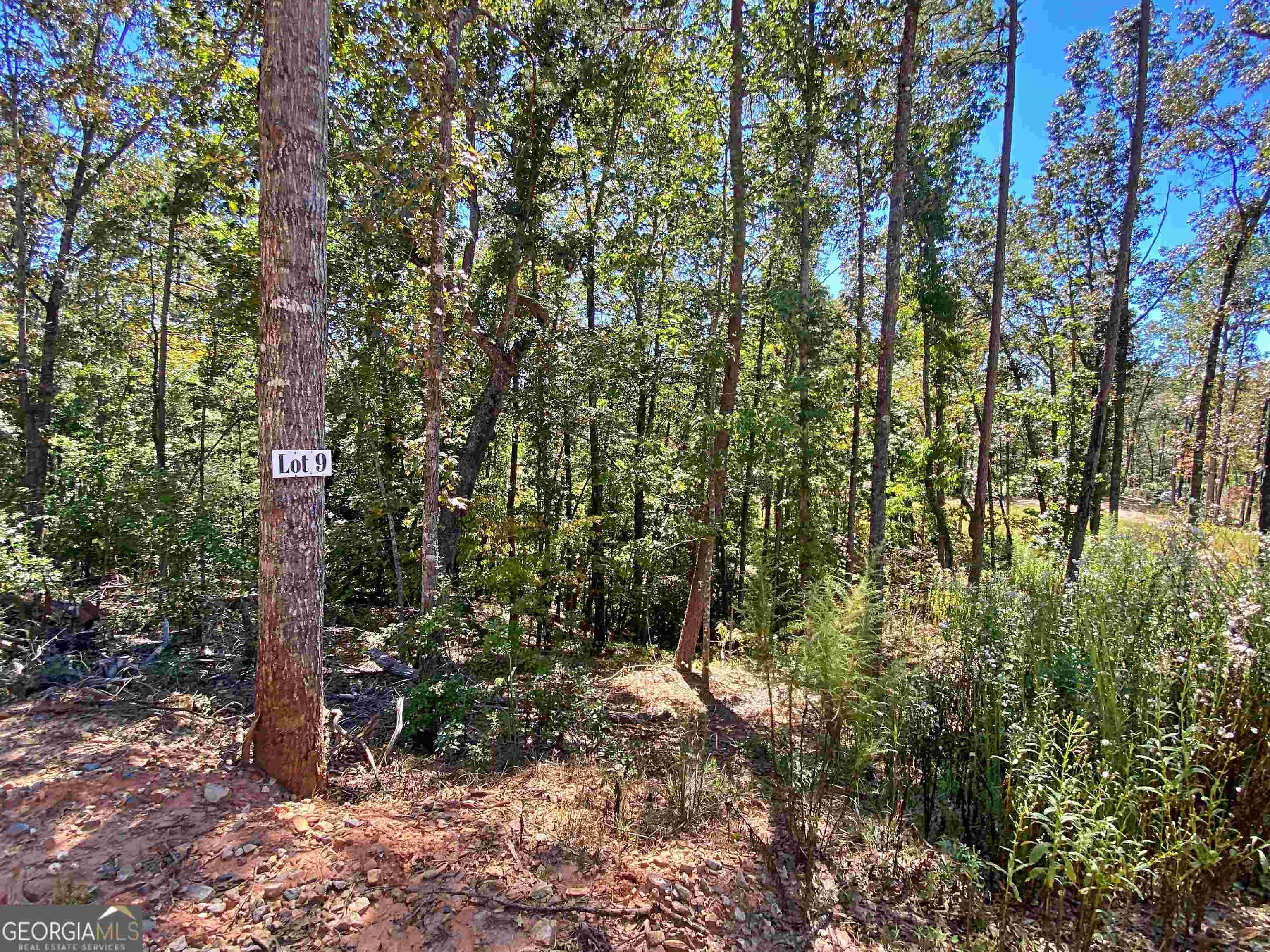 2. Lot 9 Etowah River Estates