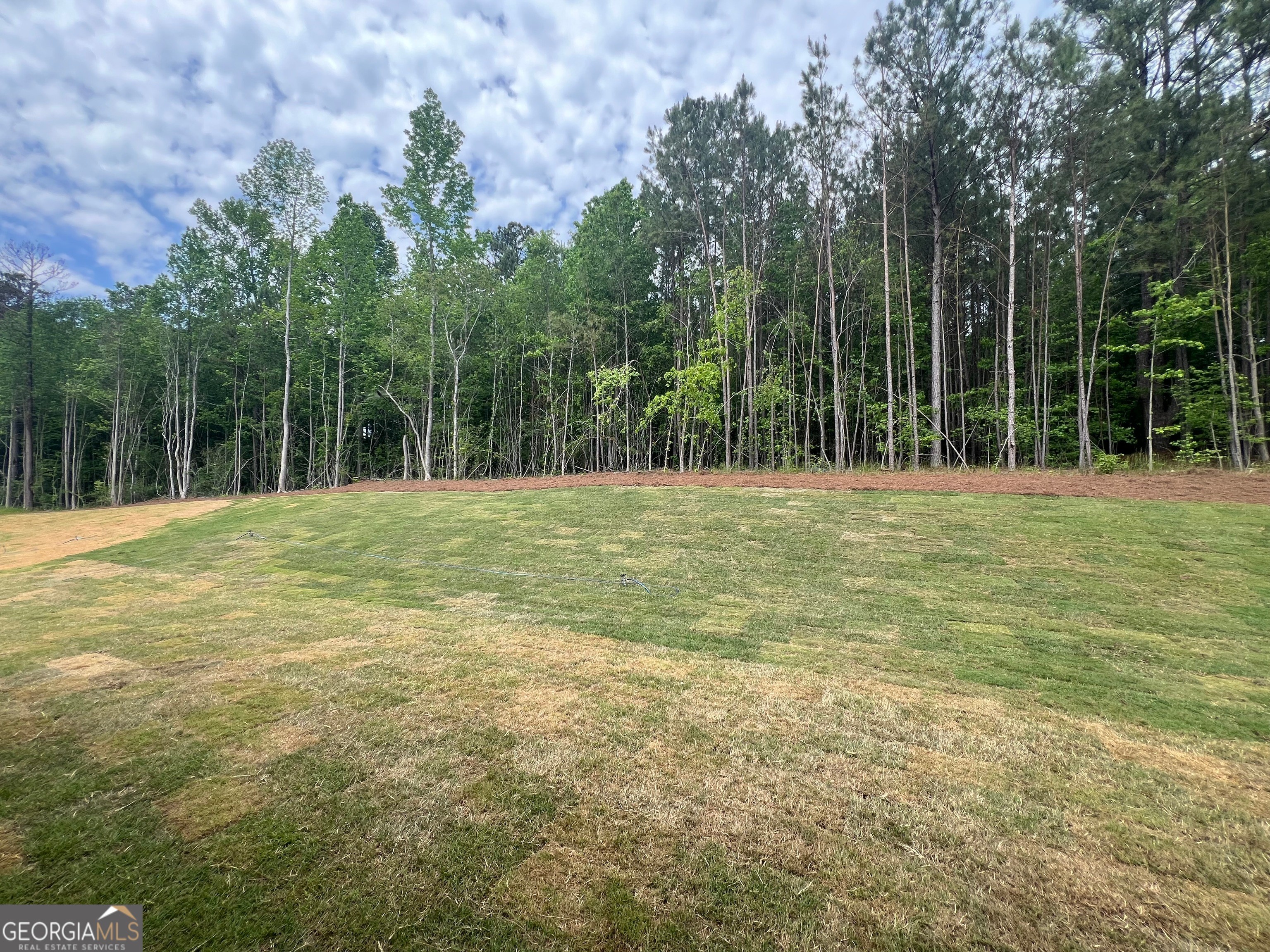 22. Lot 3 Piney Woods Dr