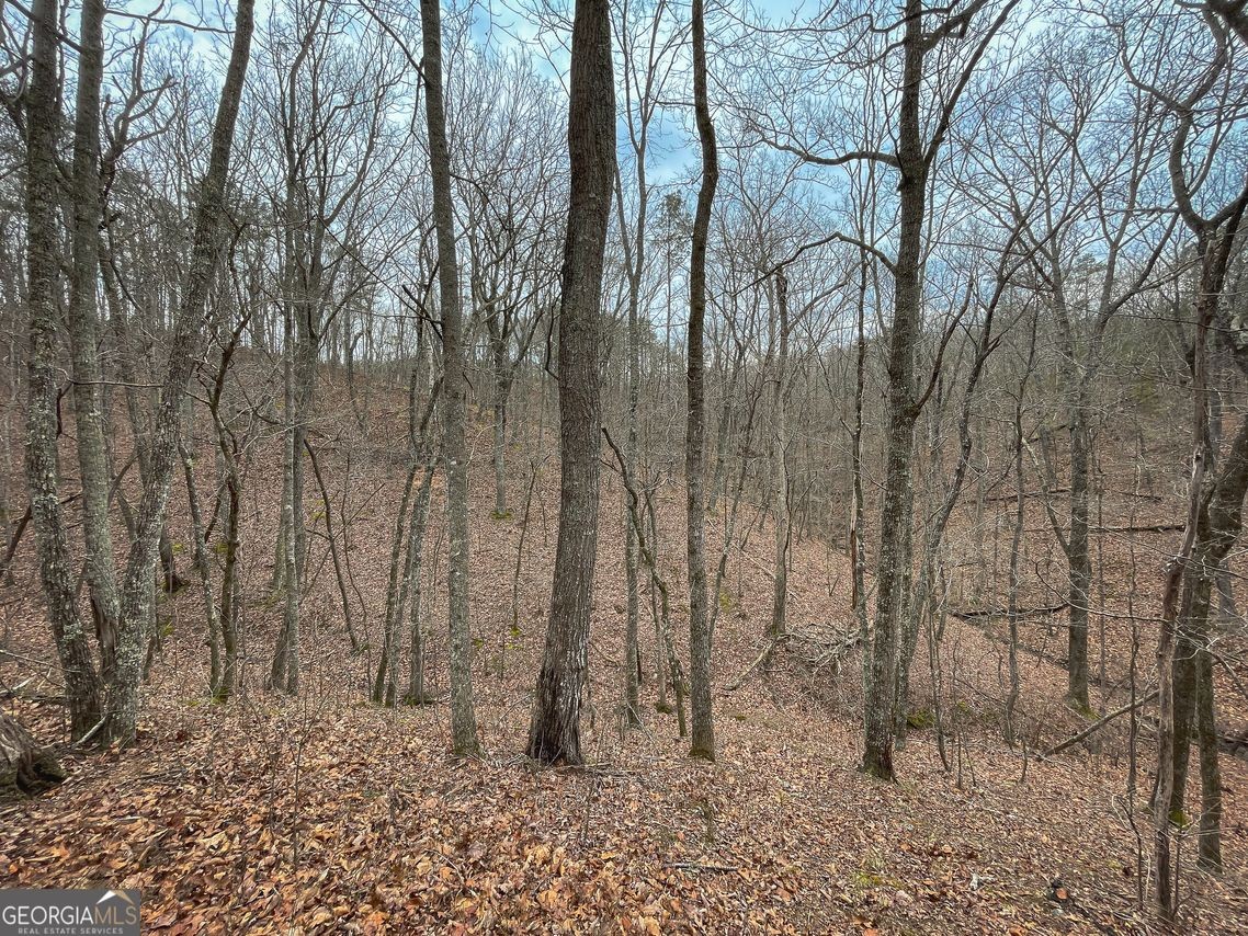 37. 90.86 Acres On Youngs Station Rd.