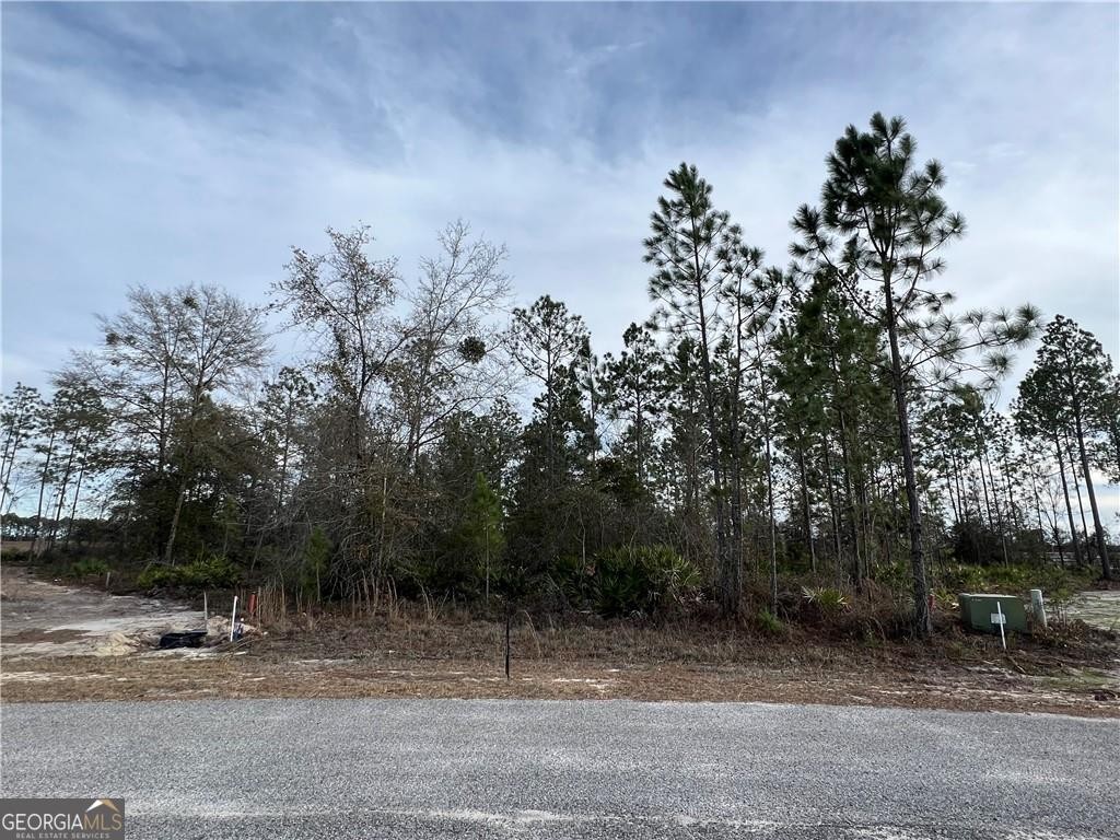 4. Lot 16 &amp; 17 Long Leaf Ln