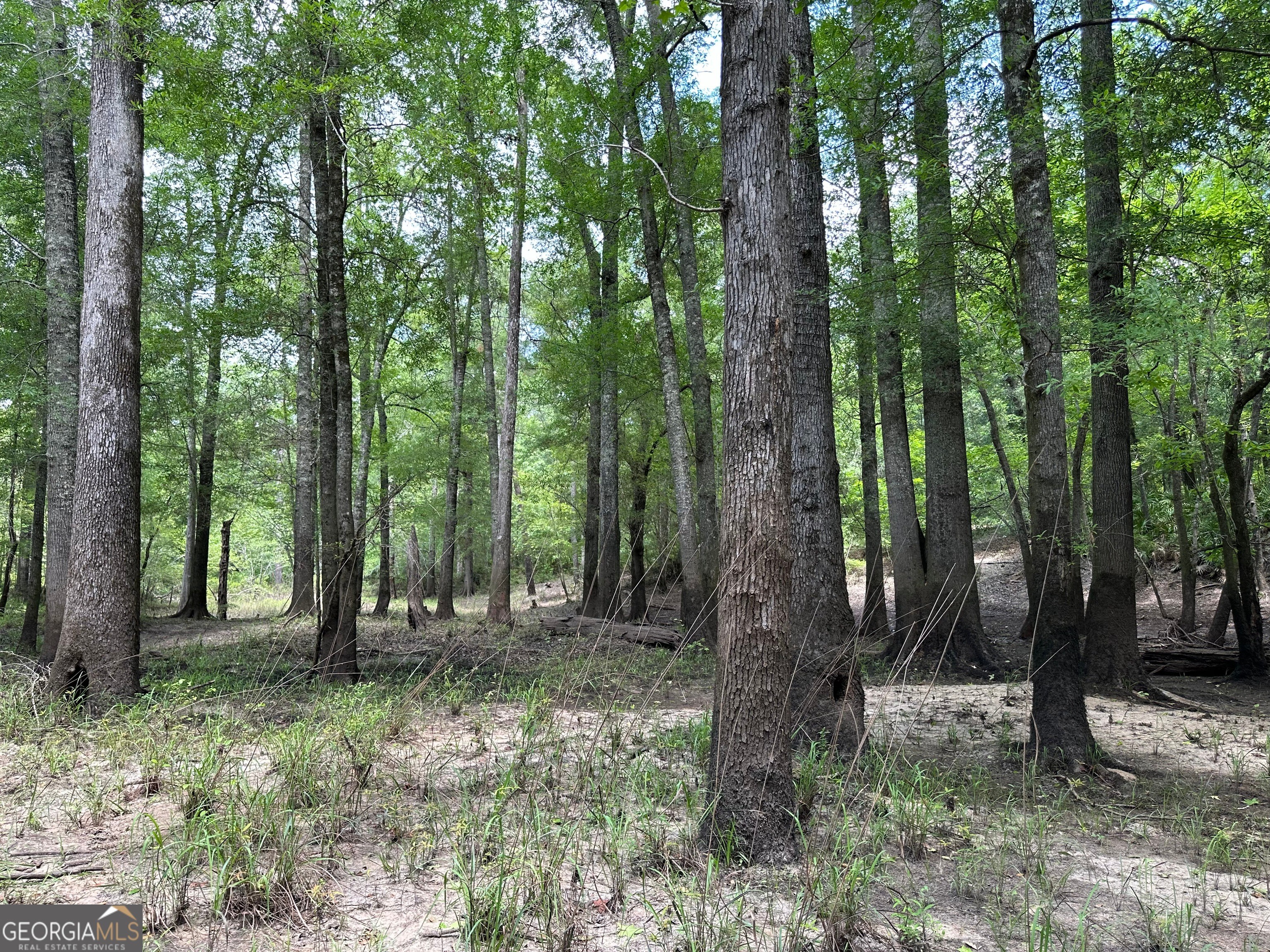 18. 0 Little Ocmulgee River