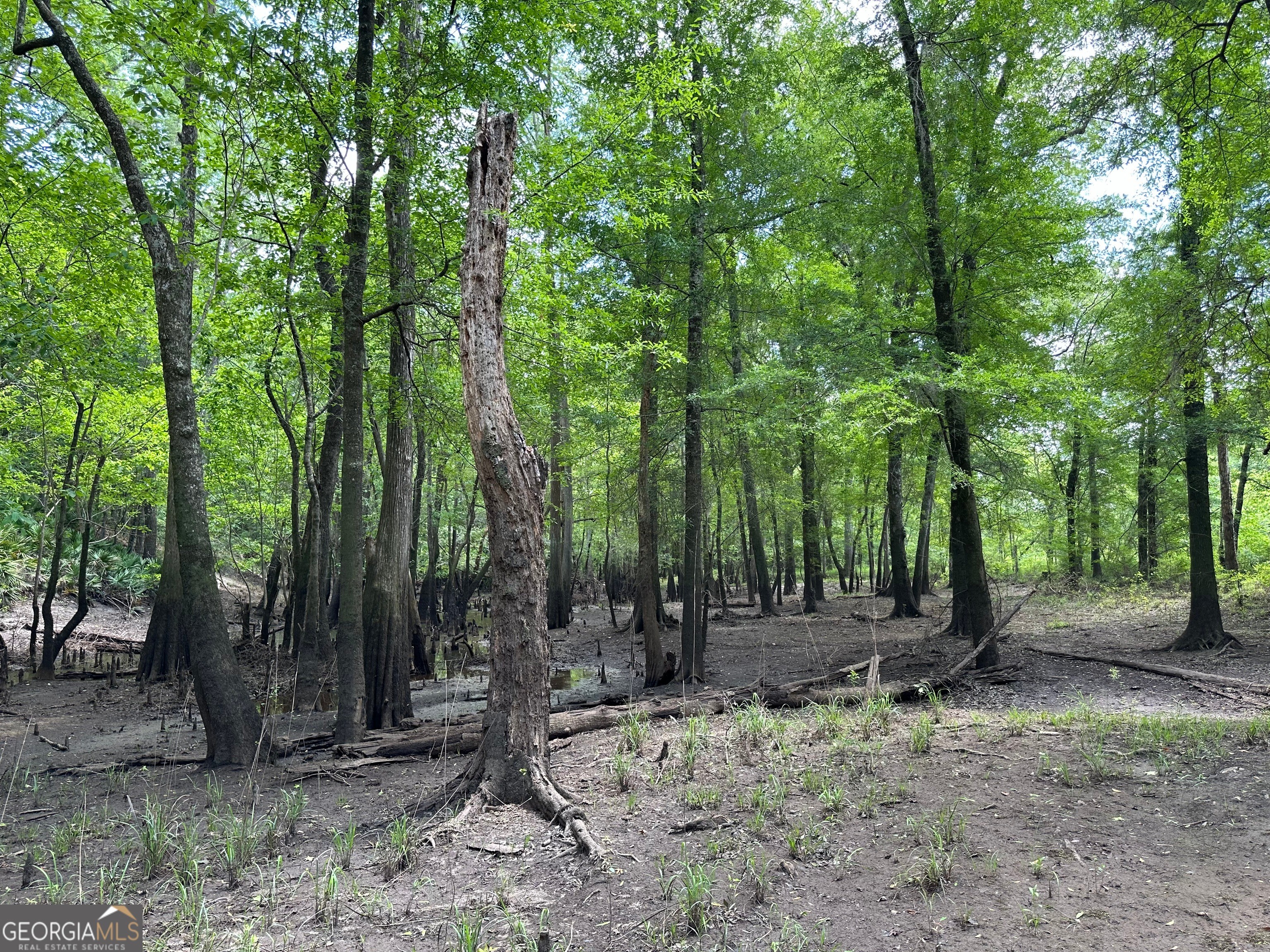 19. 0 Little Ocmulgee River