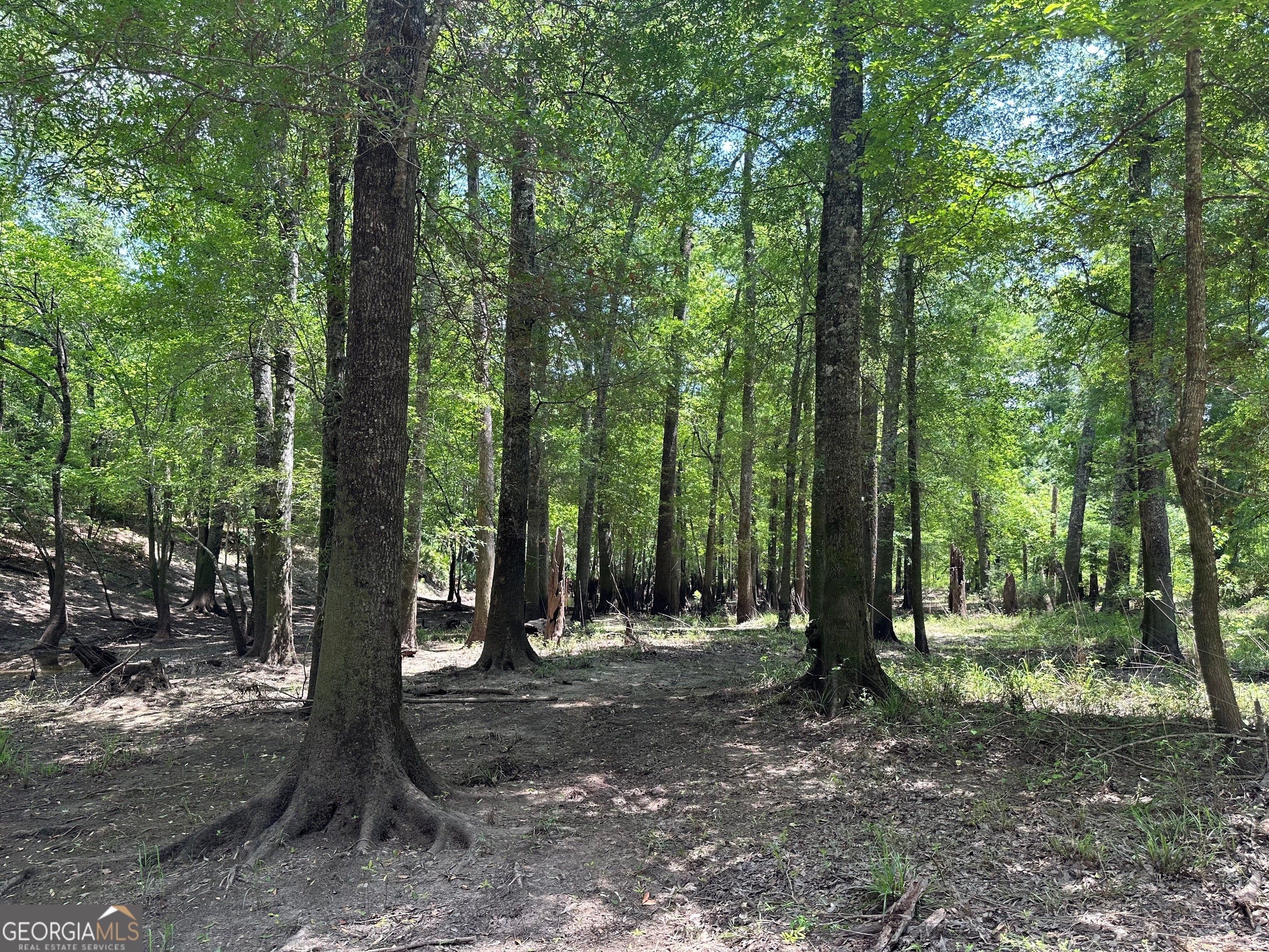 10. 0 Little Ocmulgee River