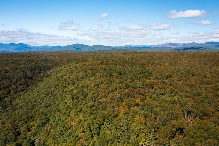 New York Needs to Invest in the Catskills for the Good of the Whole State