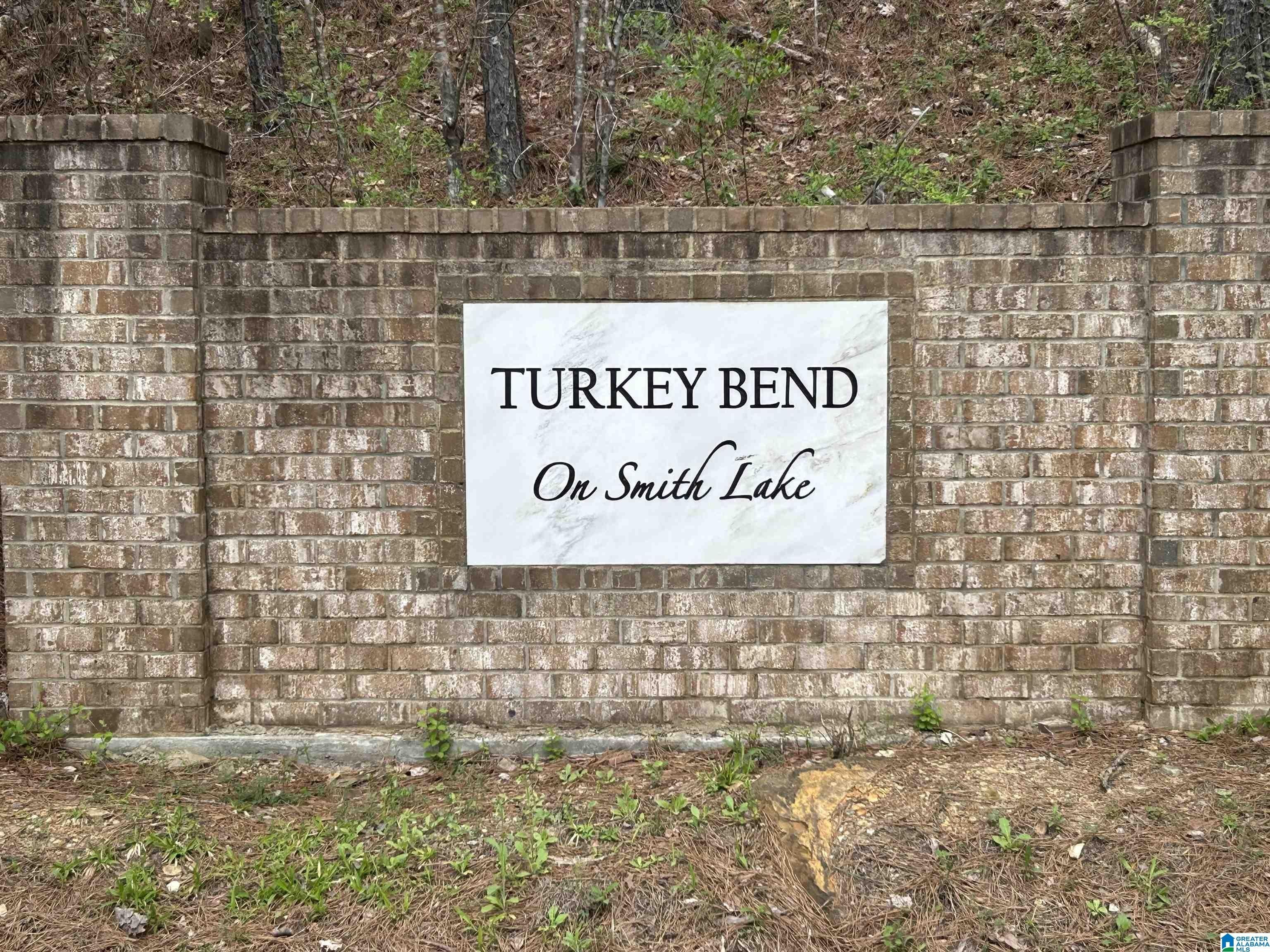 2. Lot 16 Turkey Bend Drive