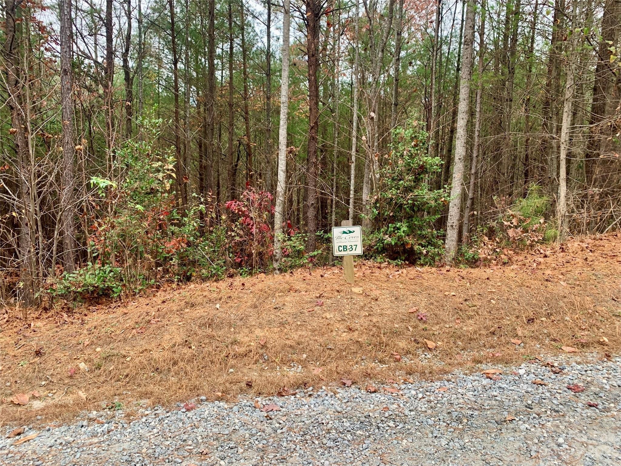 2. Lot Cb 37 Low Country Road