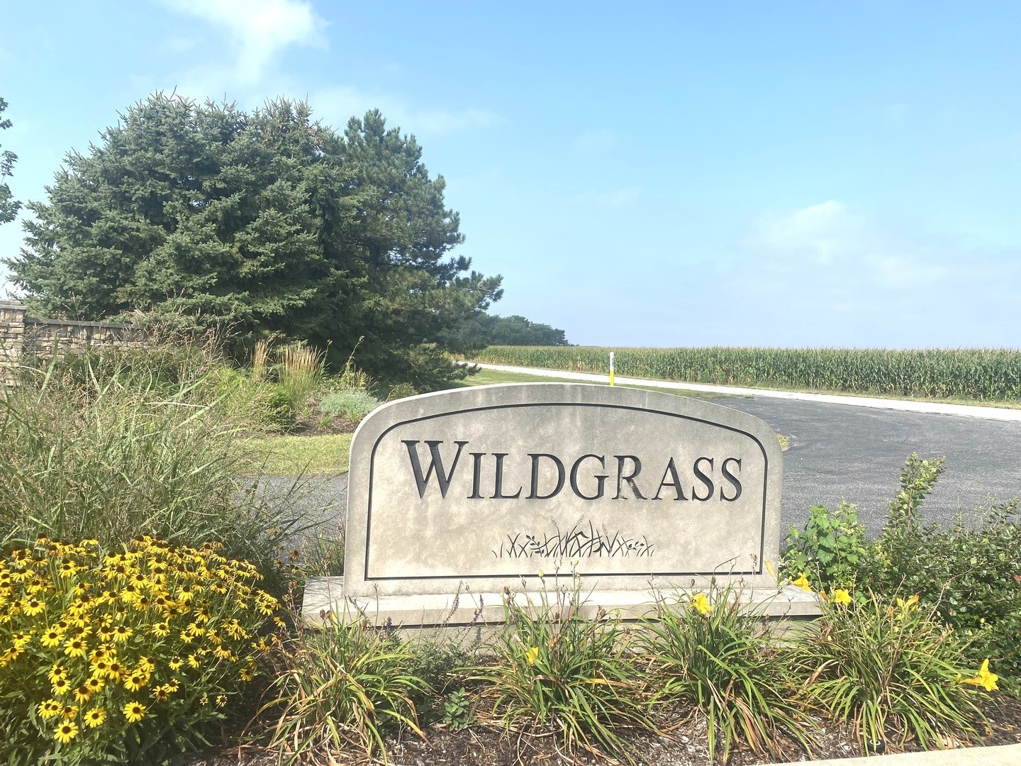 4. 26421 S Wildgrass Turn