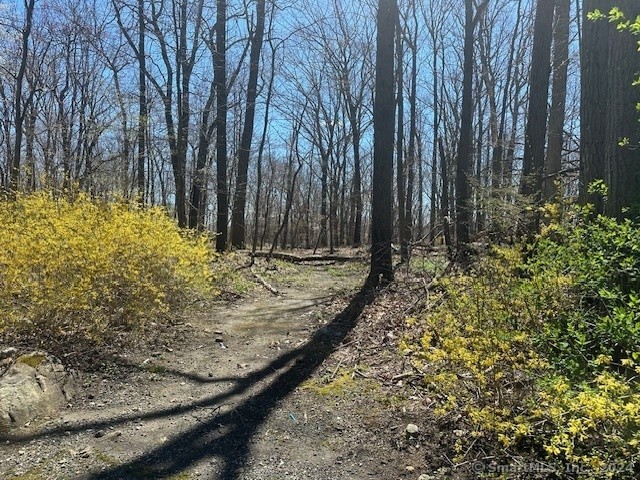 1. Pine Trail