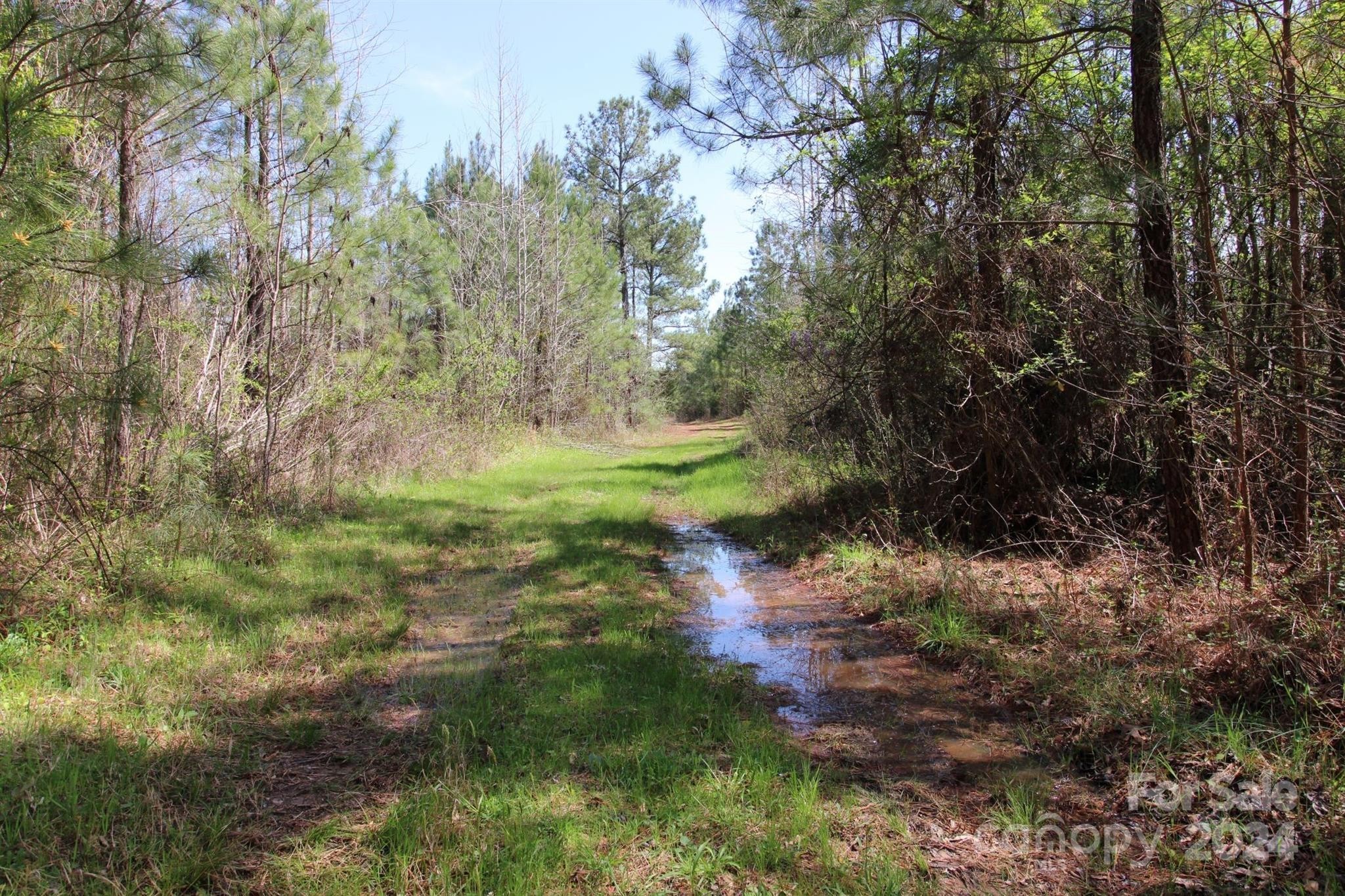 3. 12+/- Ac Hosea Strong Road