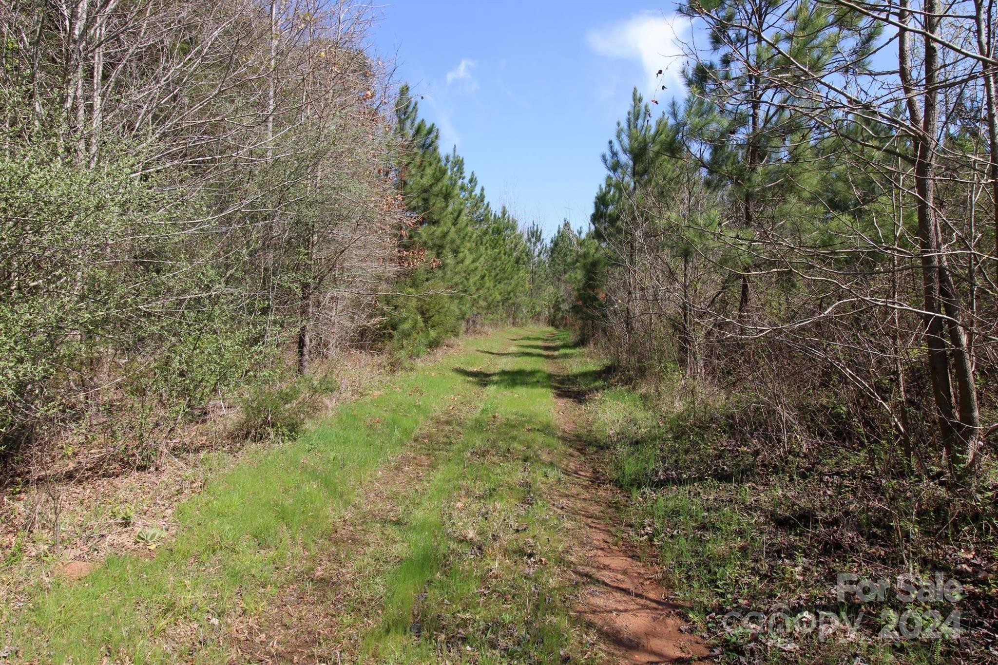 2. 12+/- Ac Hosea Strong Road