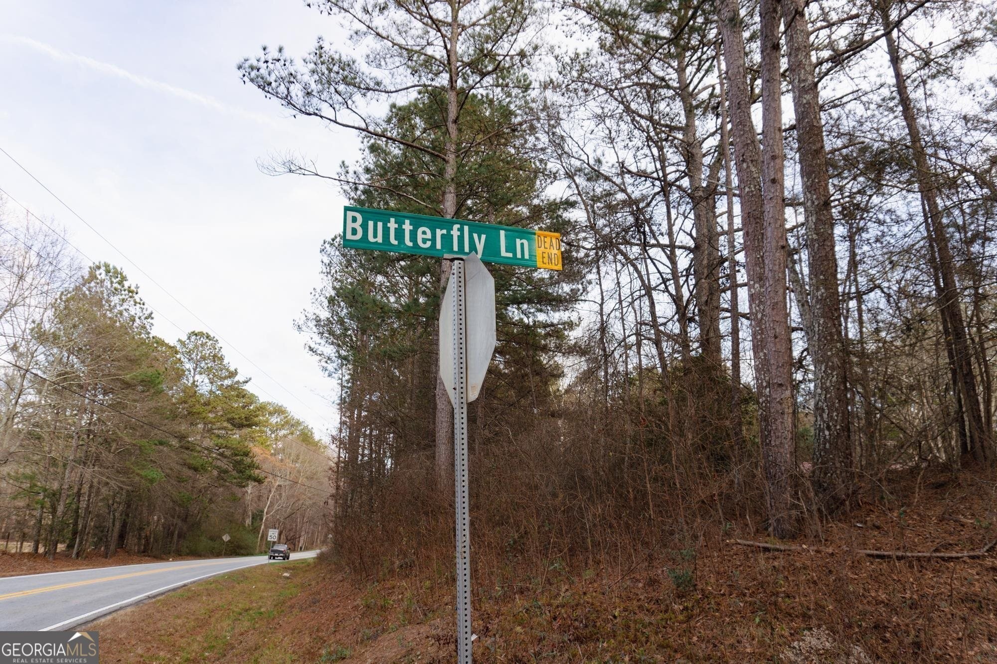 22. 0 Butterfly Lane