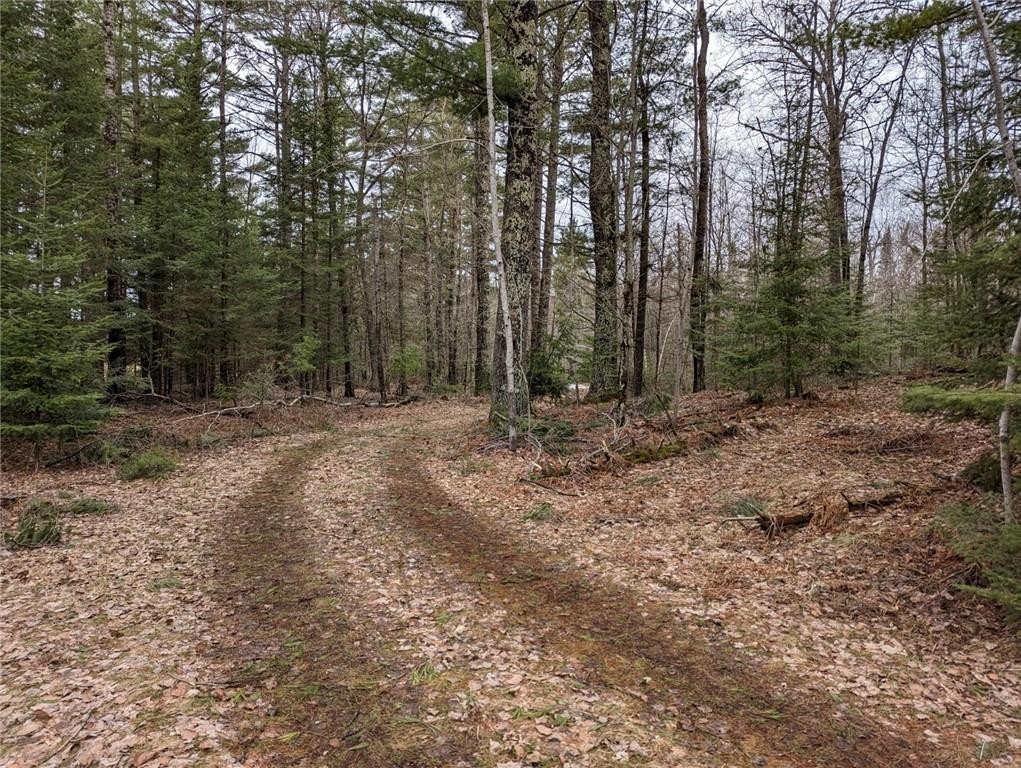 1. Lot 2 County Hwy 00
