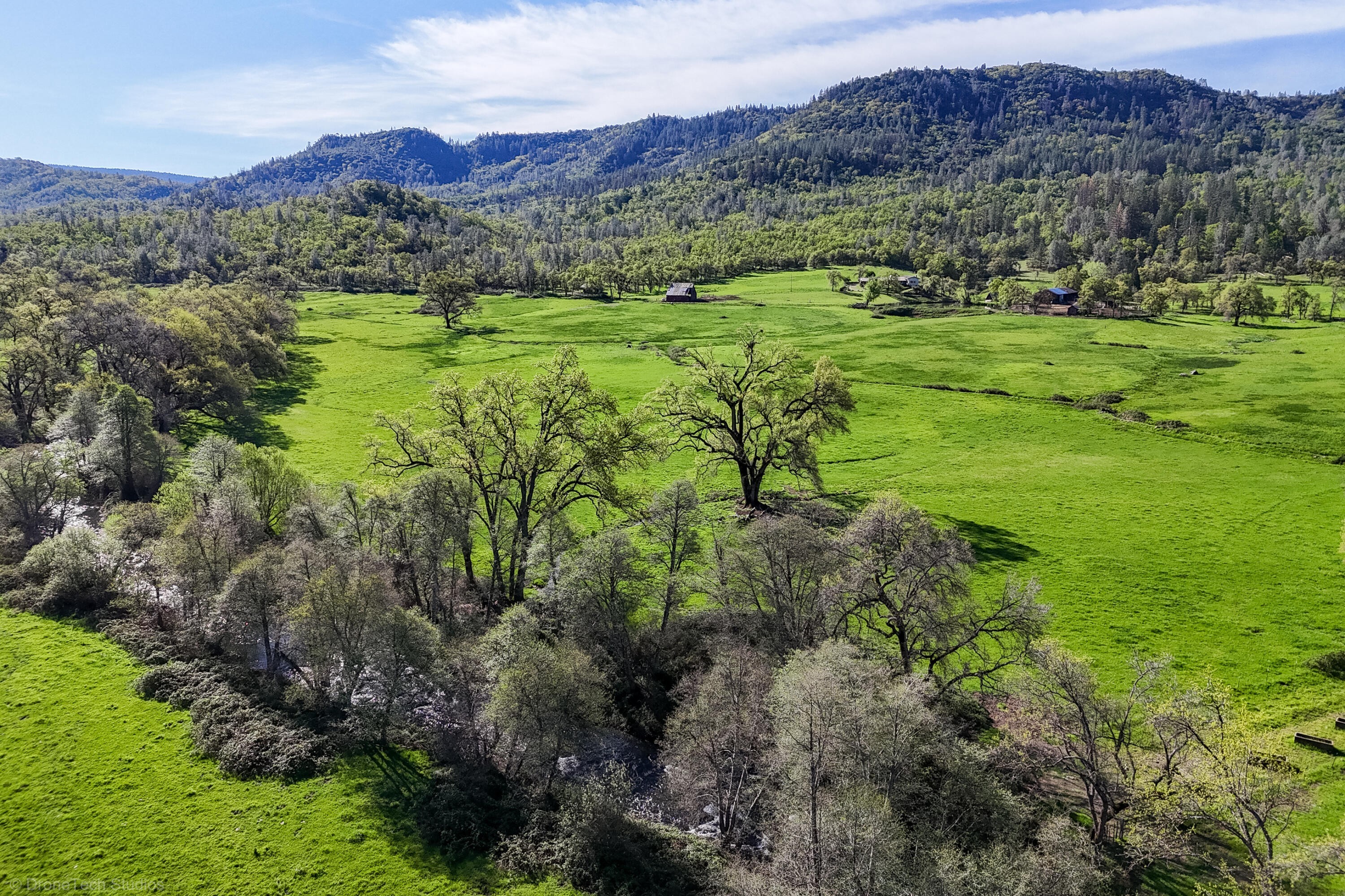 3. 9568 Blue Mountain Ranch Road