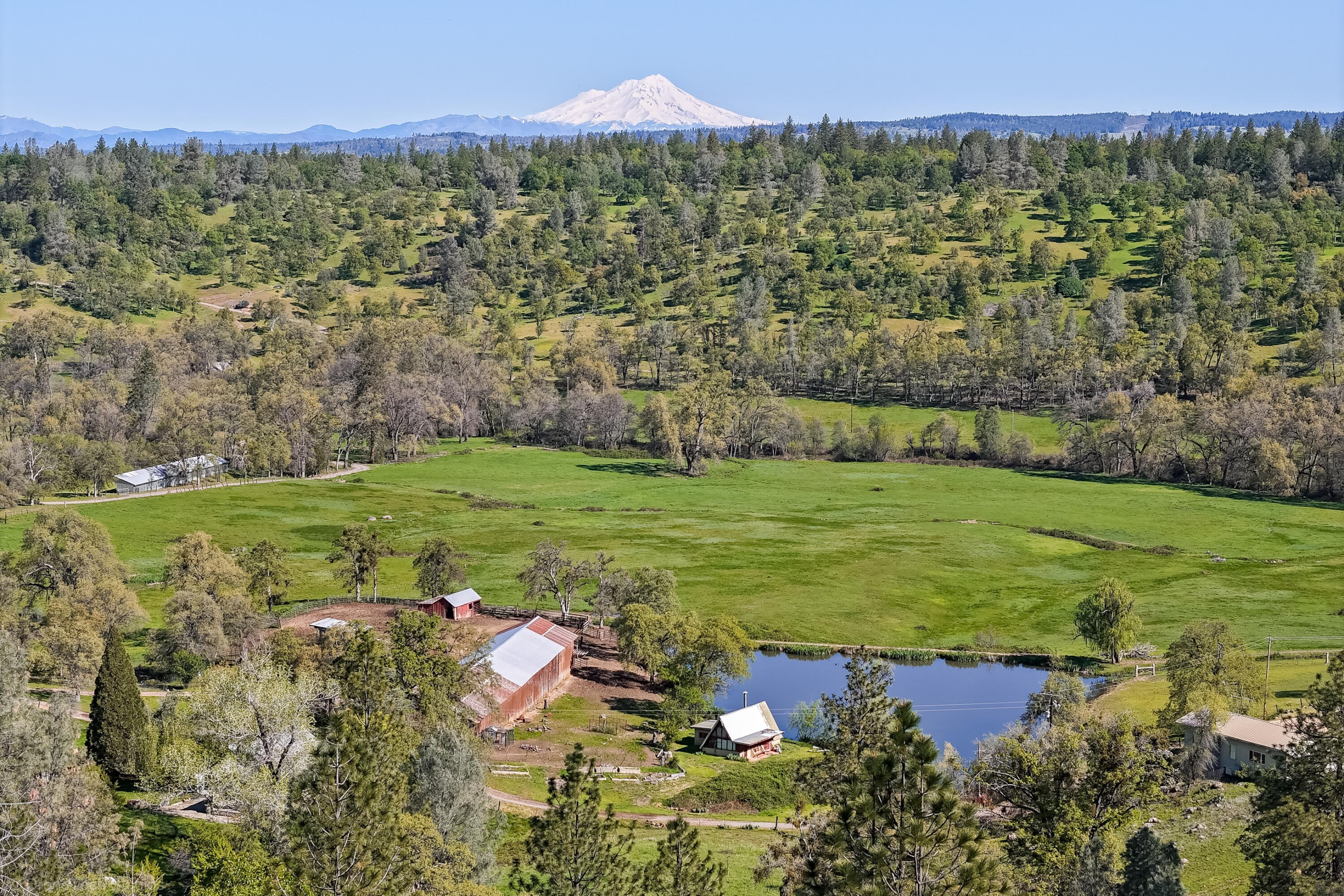 2. 9568 Blue Mountain Ranch Road
