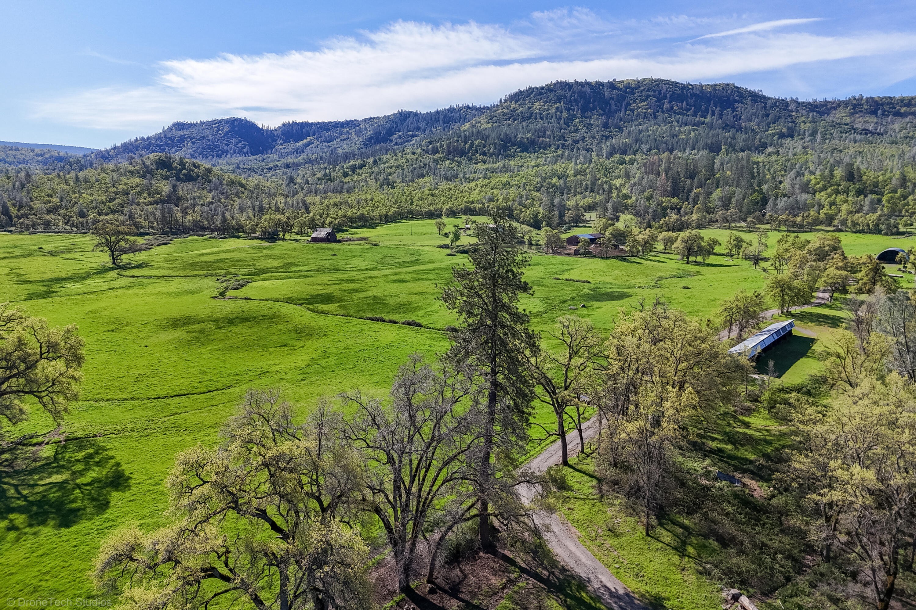 1. 9568 Blue Mountain Ranch Road