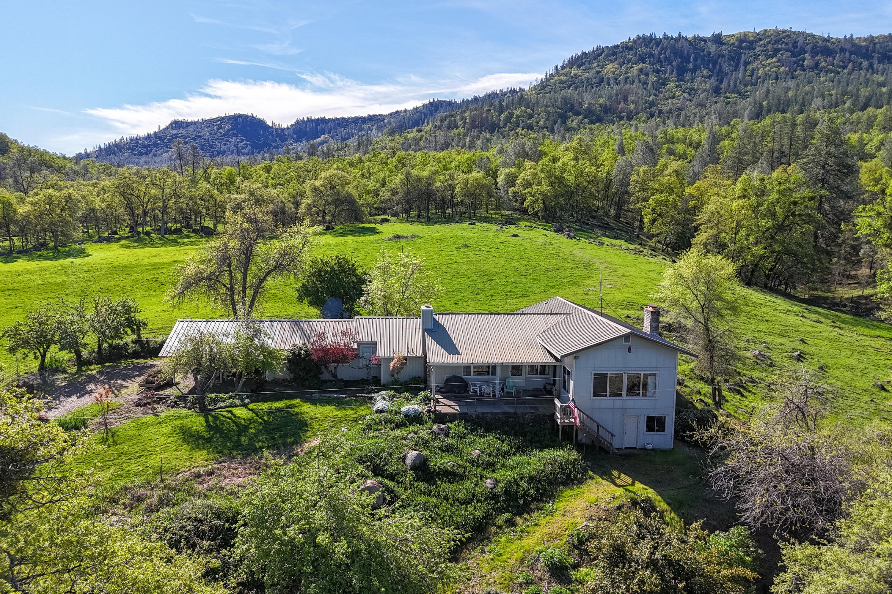 14. 9568 Blue Mountain Ranch Road