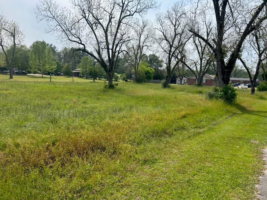 1. Lot 4 Wiley Ave
