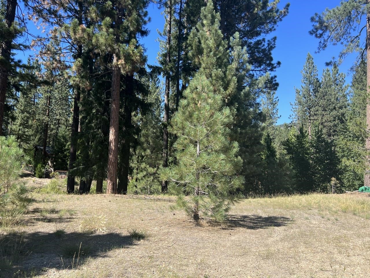 2. 392 Sequoia Circle
