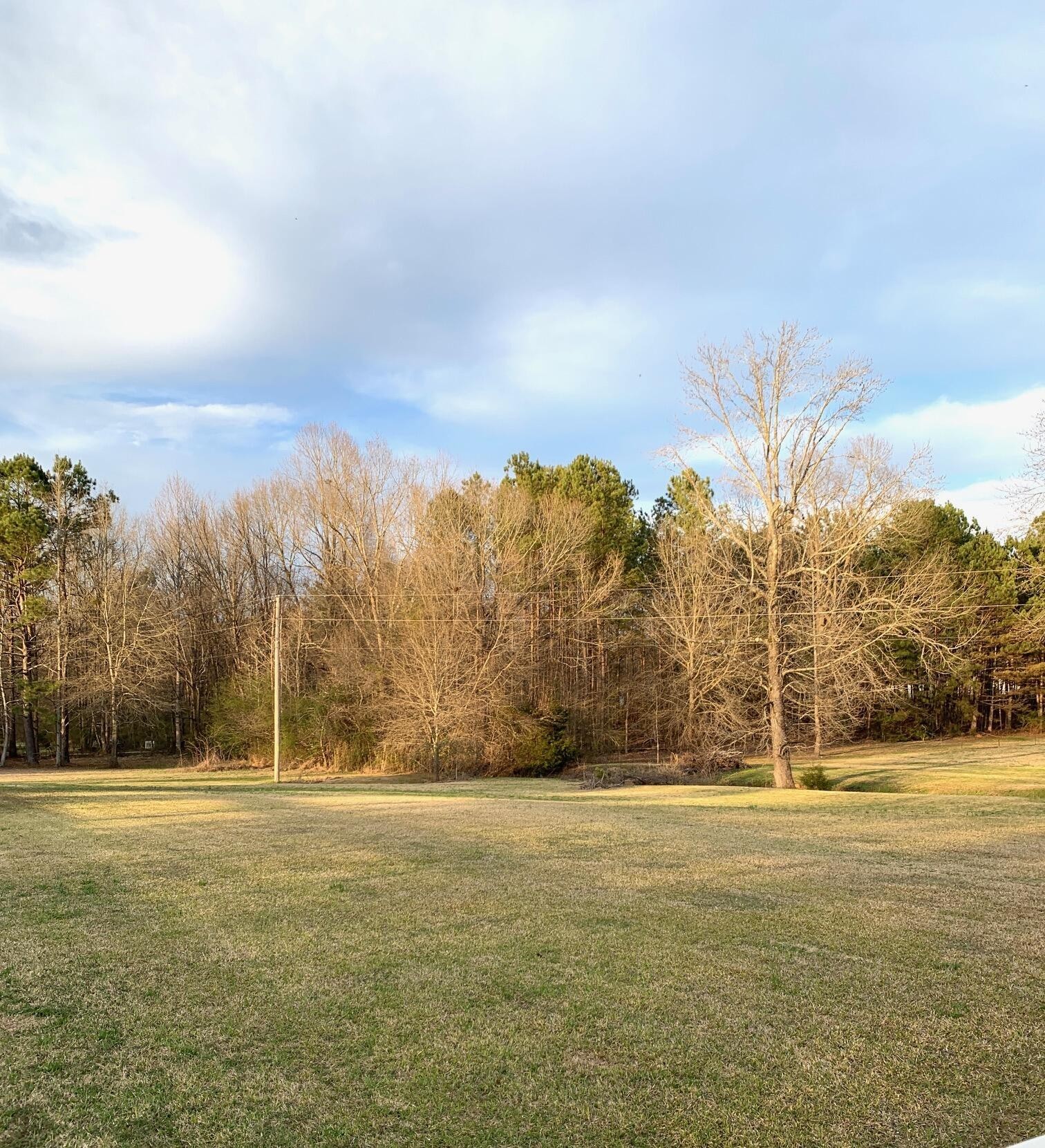 4. 1541 State Highway 30 East, Lot 2