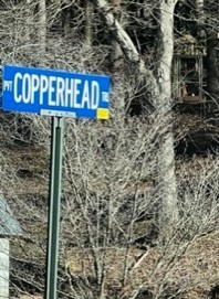 2. 06.13 Copperhead Trail
