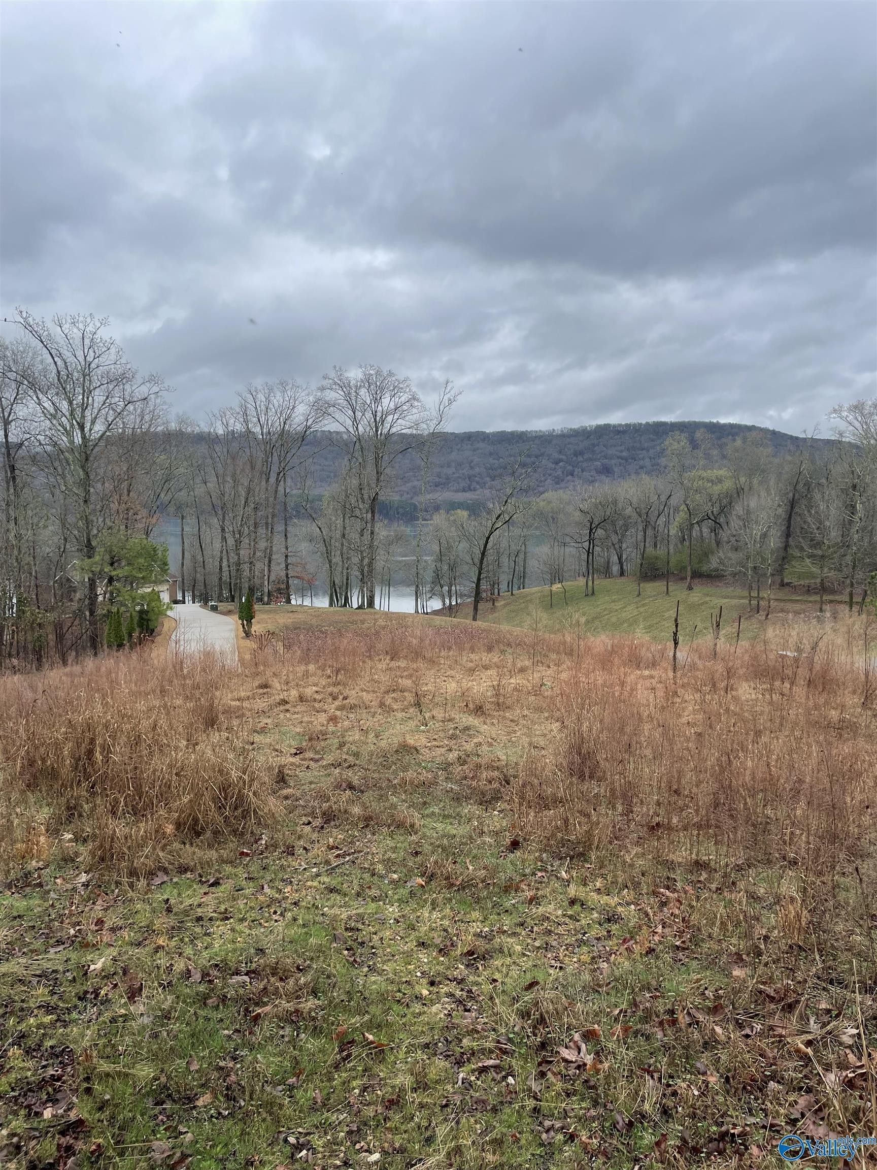 1. Lot 161 Lookout Mountain Drive