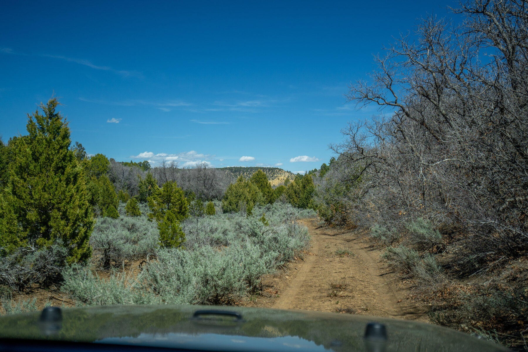 31. 829.15 Acres East Of Zion