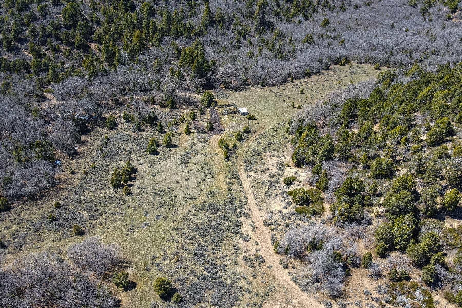 41. 829.15 Acres East Of Zion