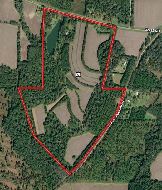 22. 4550 Ozell Road  (150 Acres)