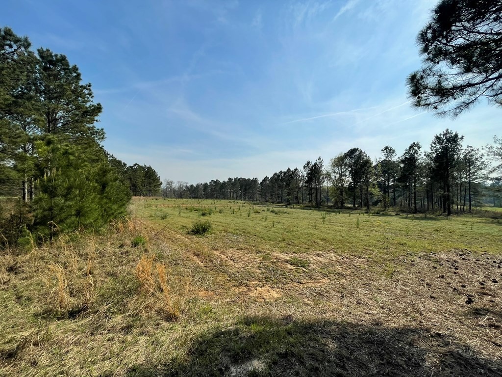 30. 4550 Ozell Road  (150 Acres)
